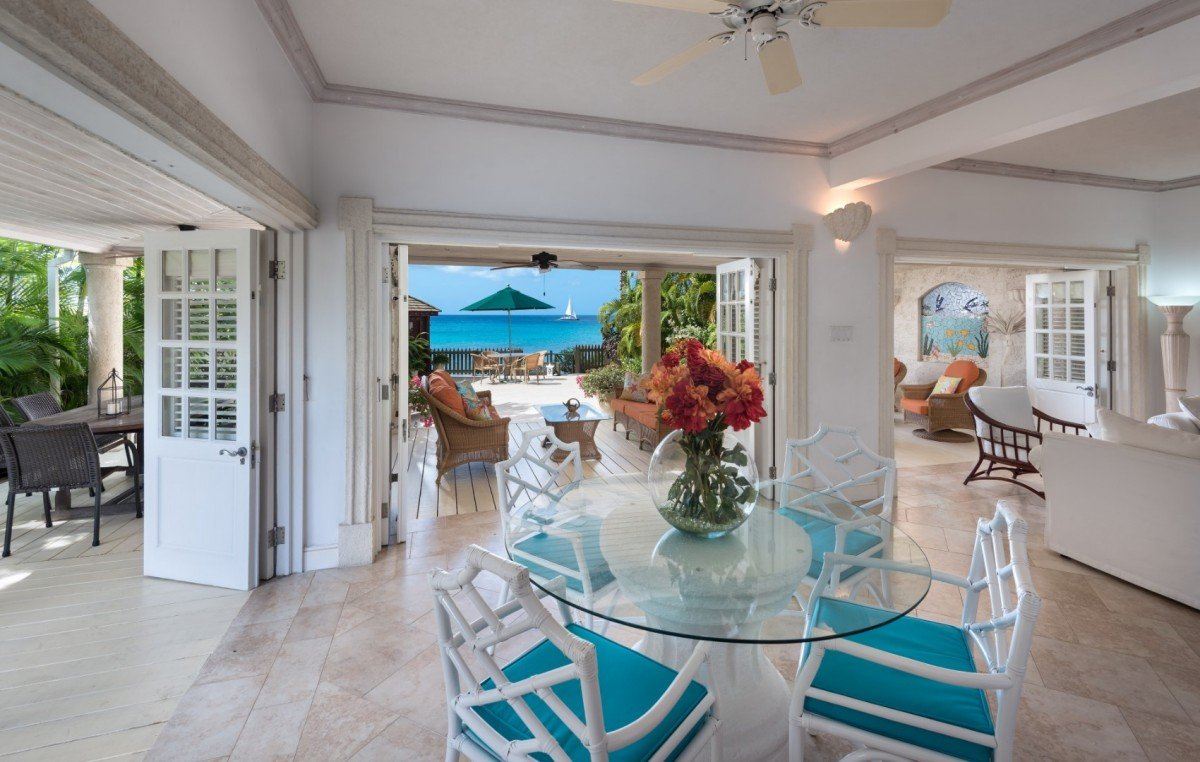 Mahogany Bay-Seashells