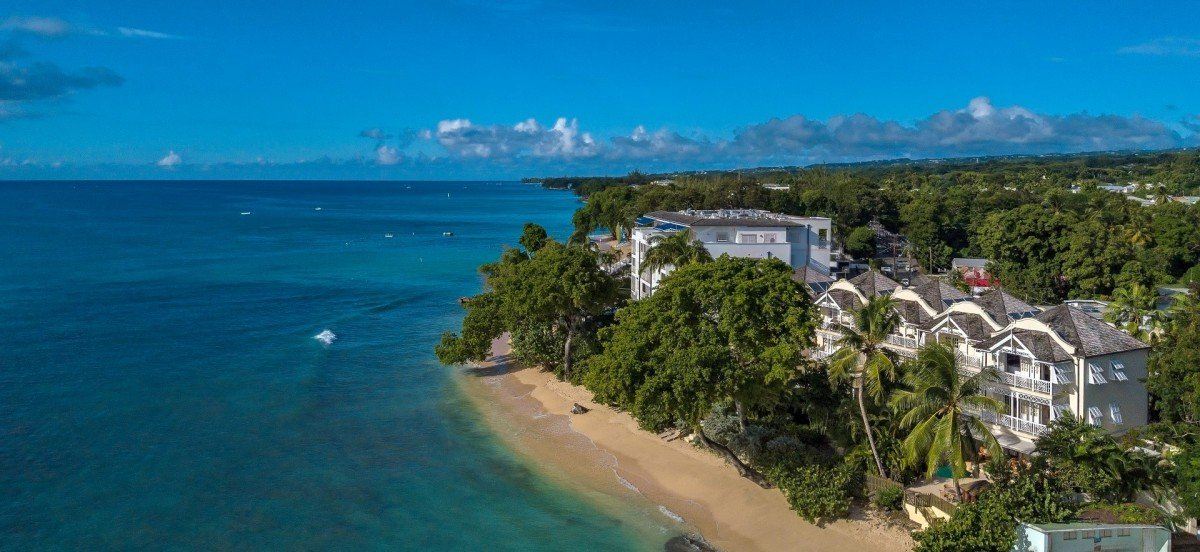 Mahogany Bay-Seashells