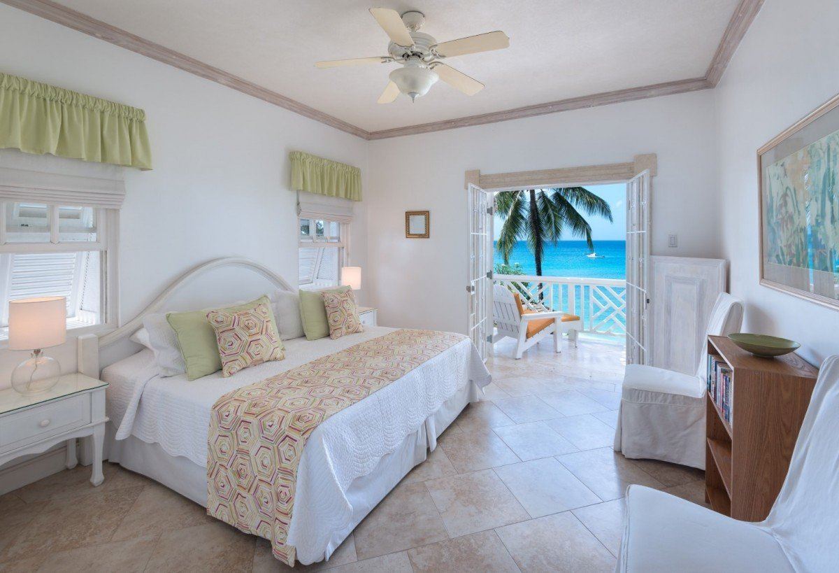 Mahogany Bay-Seashells