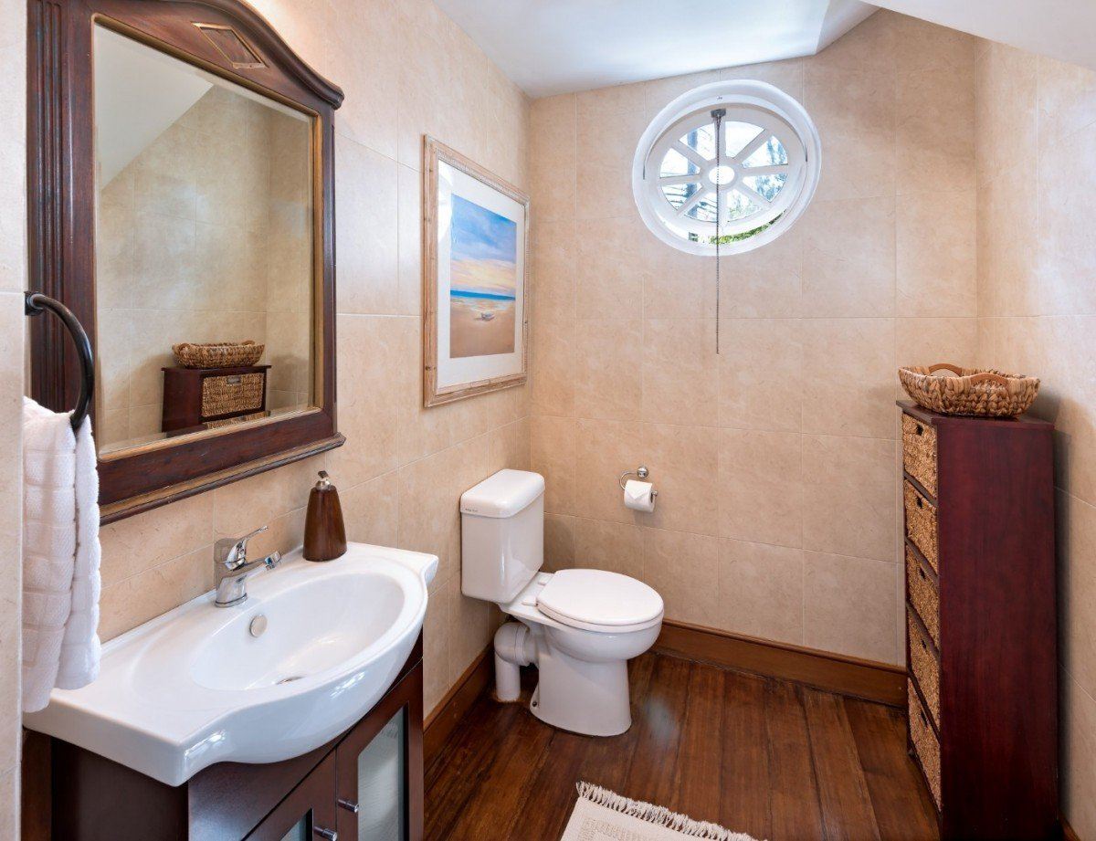 Mahogany Bay-Seashells