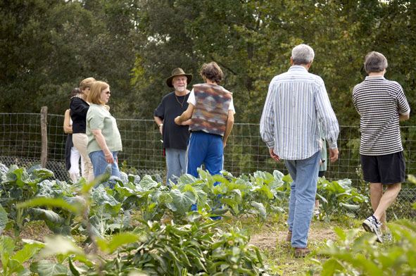 Villa Ferraia - Siena