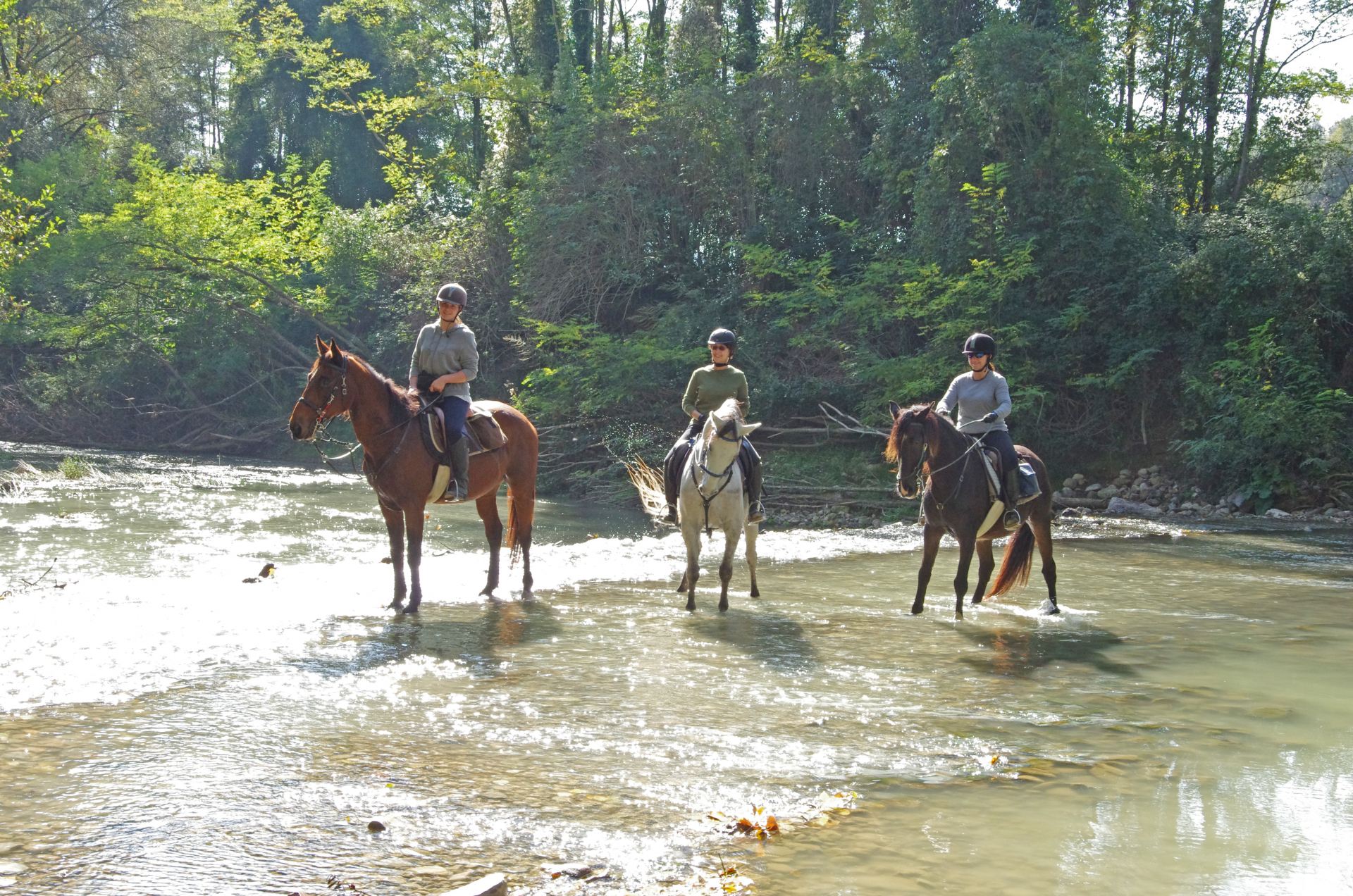 Villa Ferraia - Siena