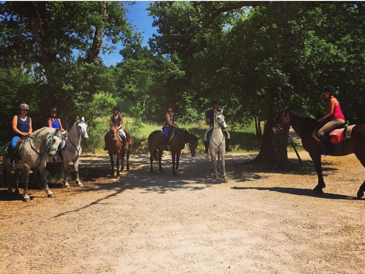 Villa Ferraia - Siena