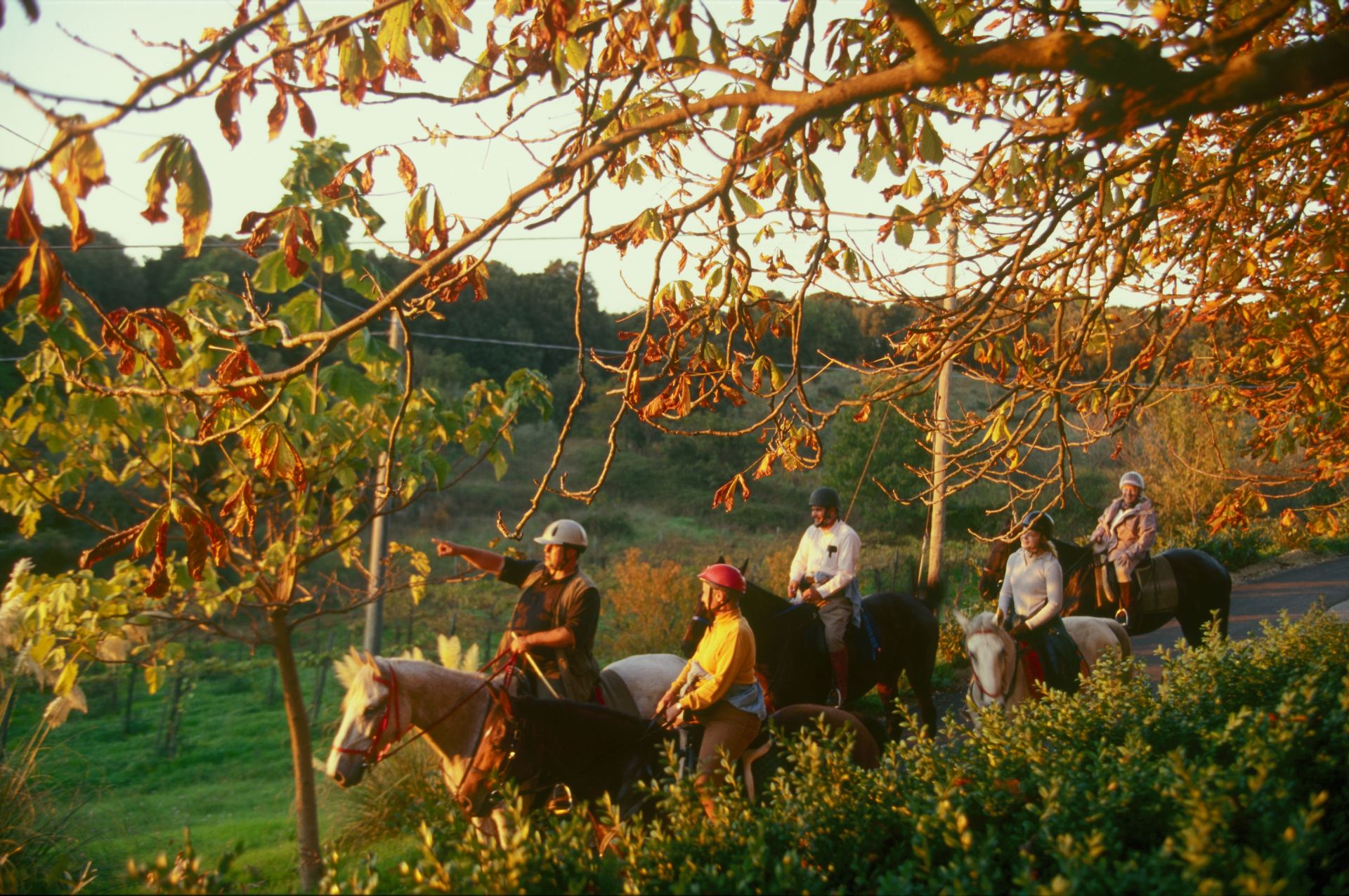 Villa Ferraia - Siena