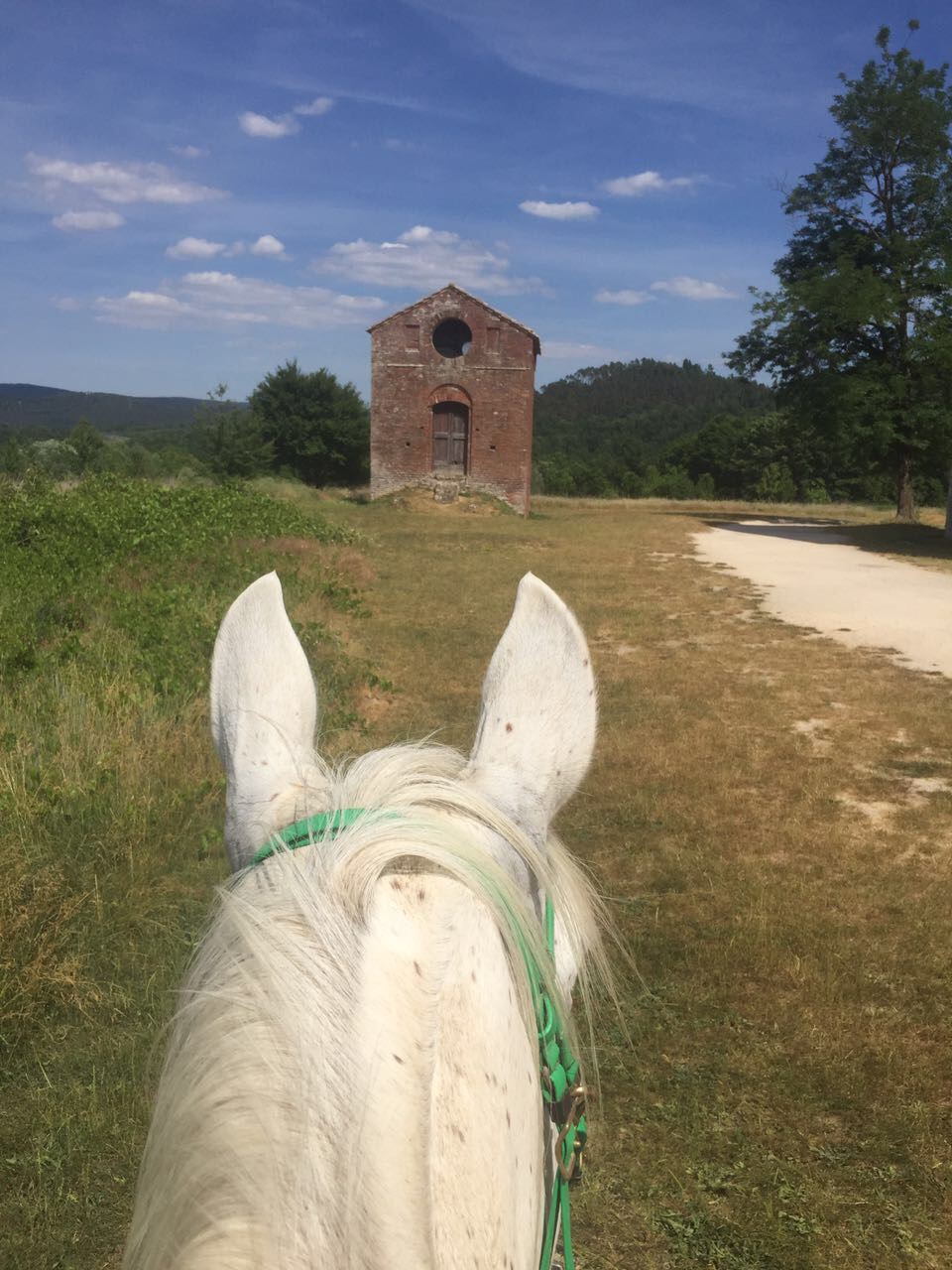 Villa Ferraia - Siena
