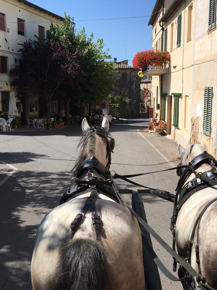 Villa Ferraia - Siena