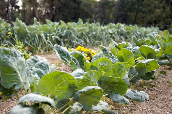 Villa Ferraia - Siena