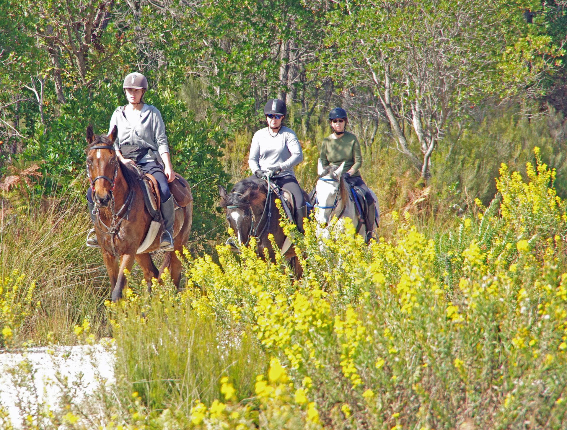 Villa Ferraia - Siena