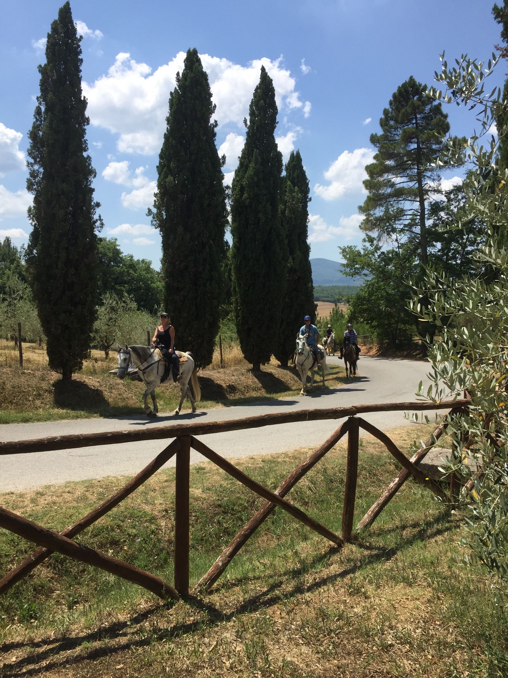 Villa Ferraia - Siena