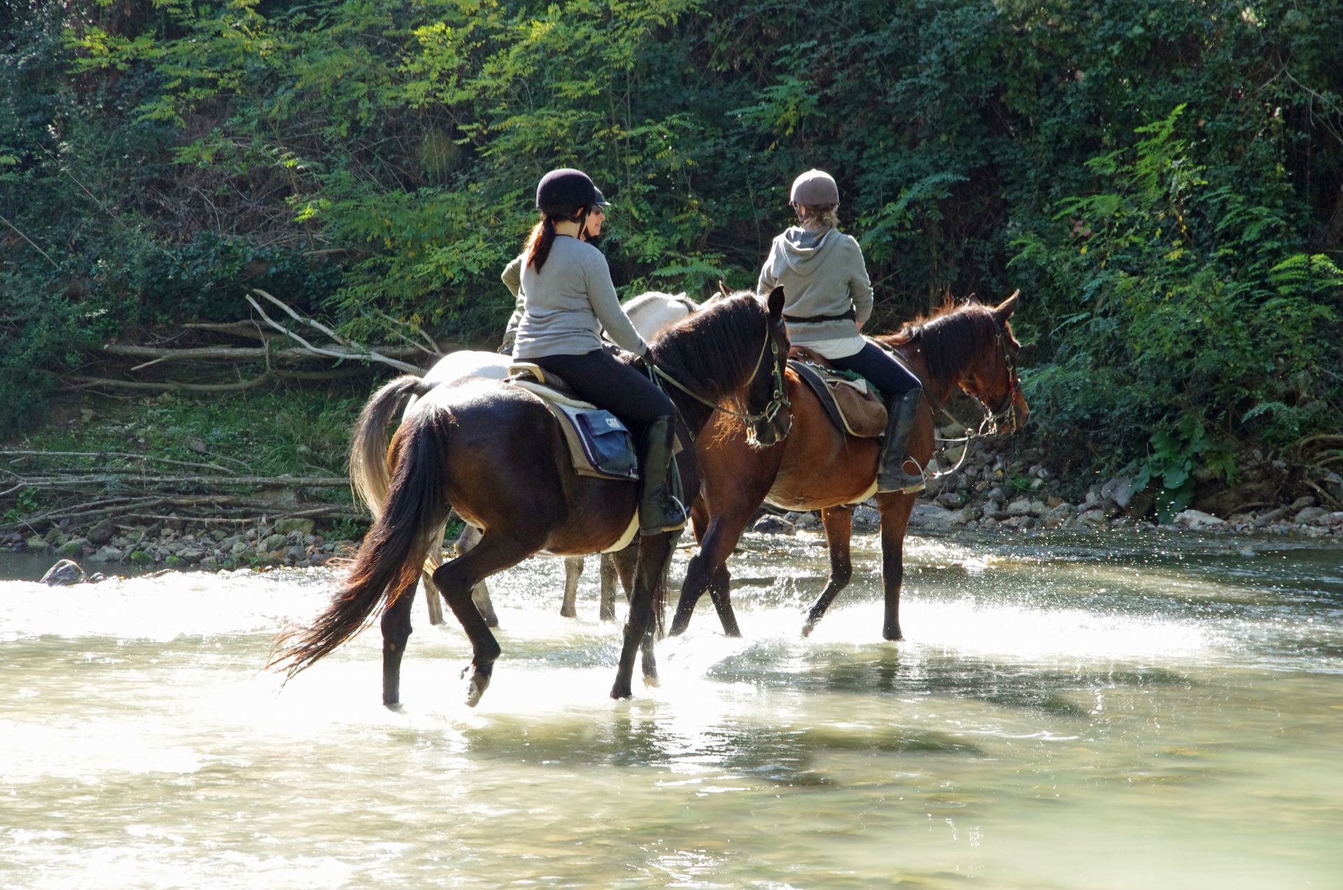 Villa Ferraia - Siena