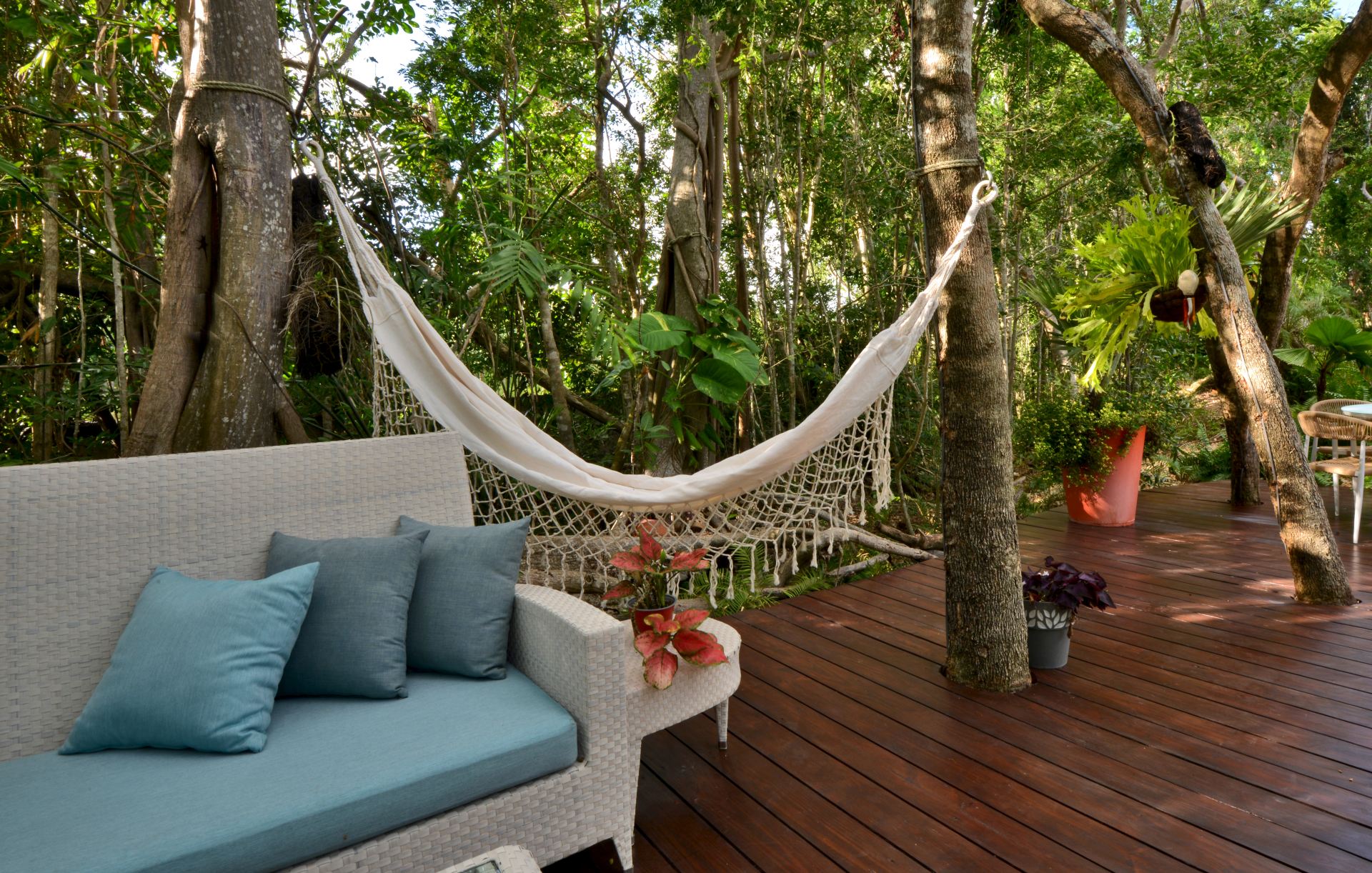 Villa Careta (Tortuga B55)