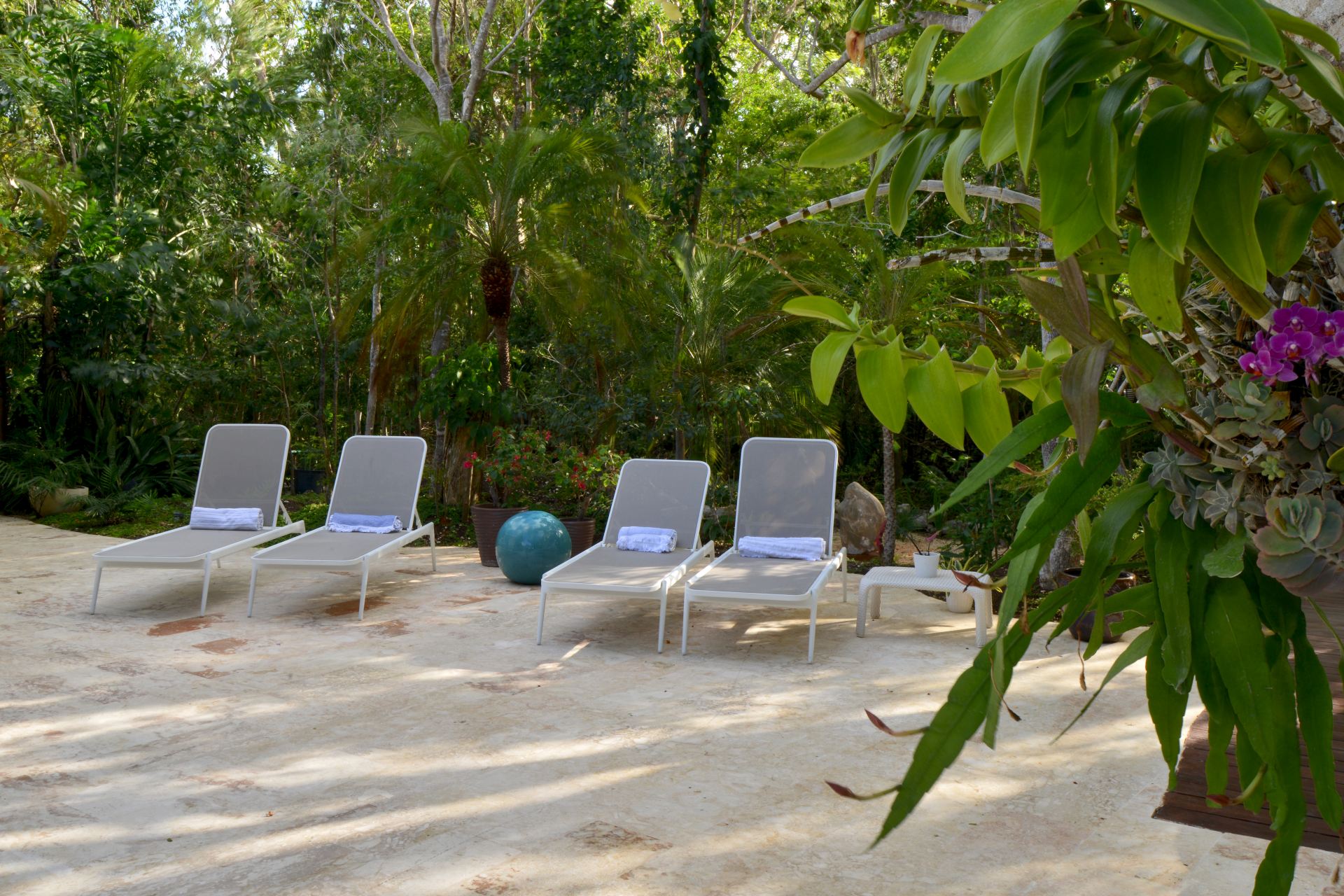 Villa Careta (Tortuga B55)