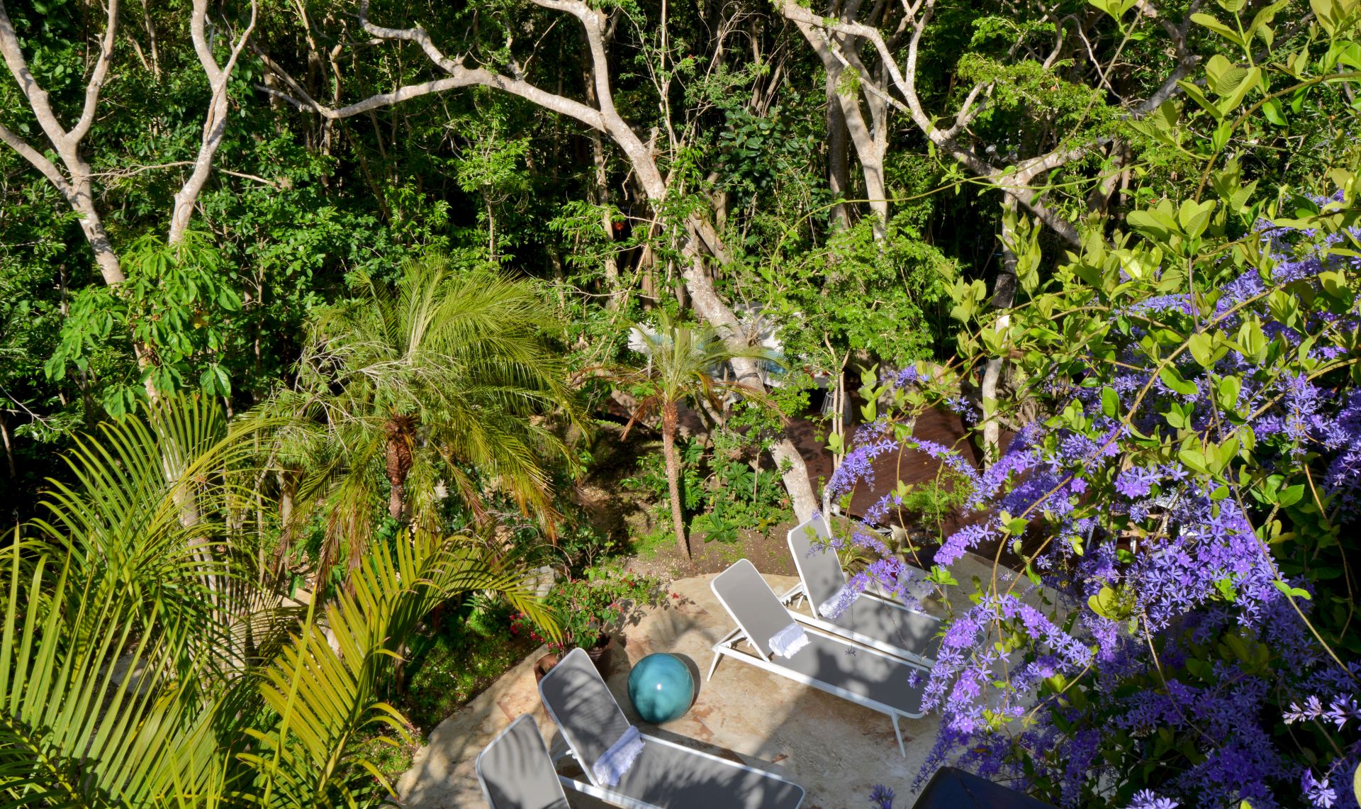 Villa Careta (Tortuga B55)