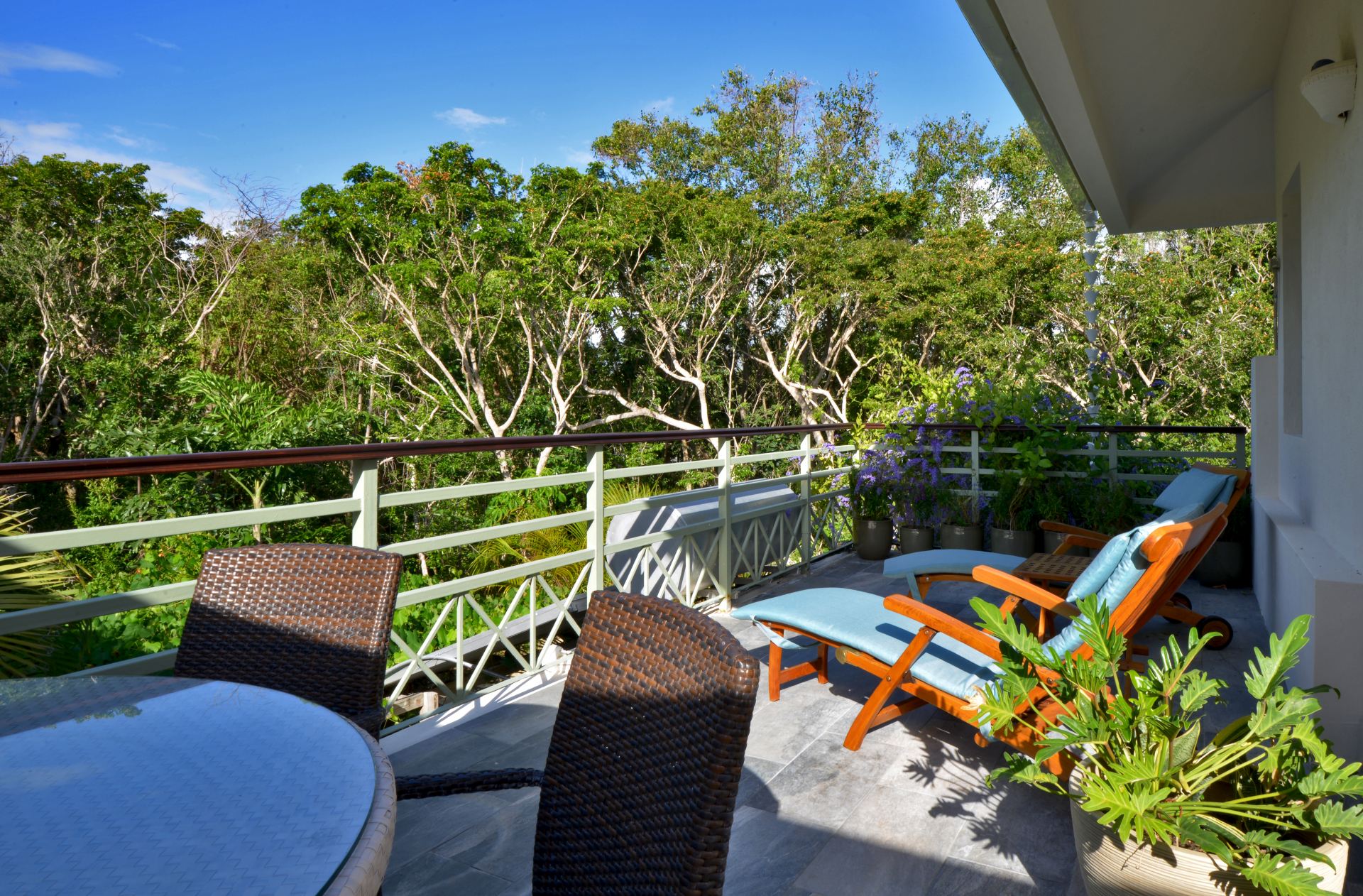 Villa Careta (Tortuga B55)