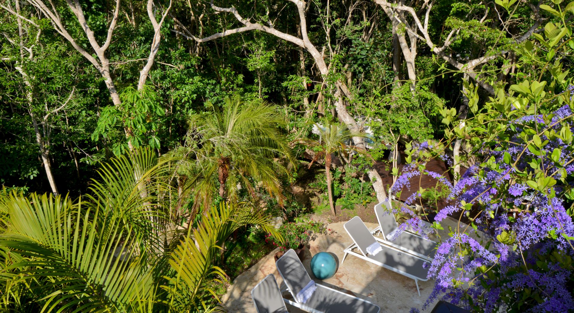 Villa Careta (Tortuga B55)