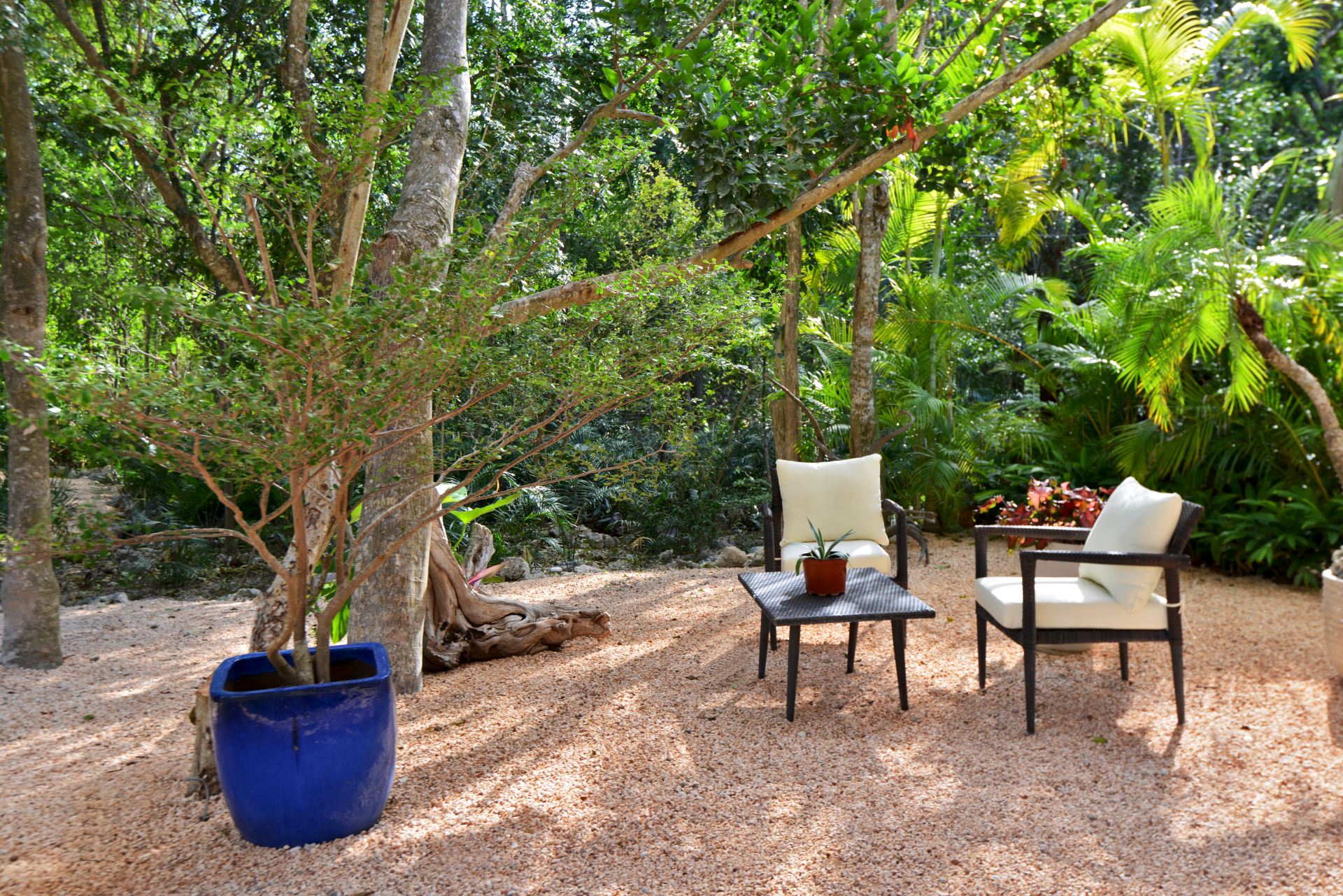 Villa Careta (Tortuga B55)