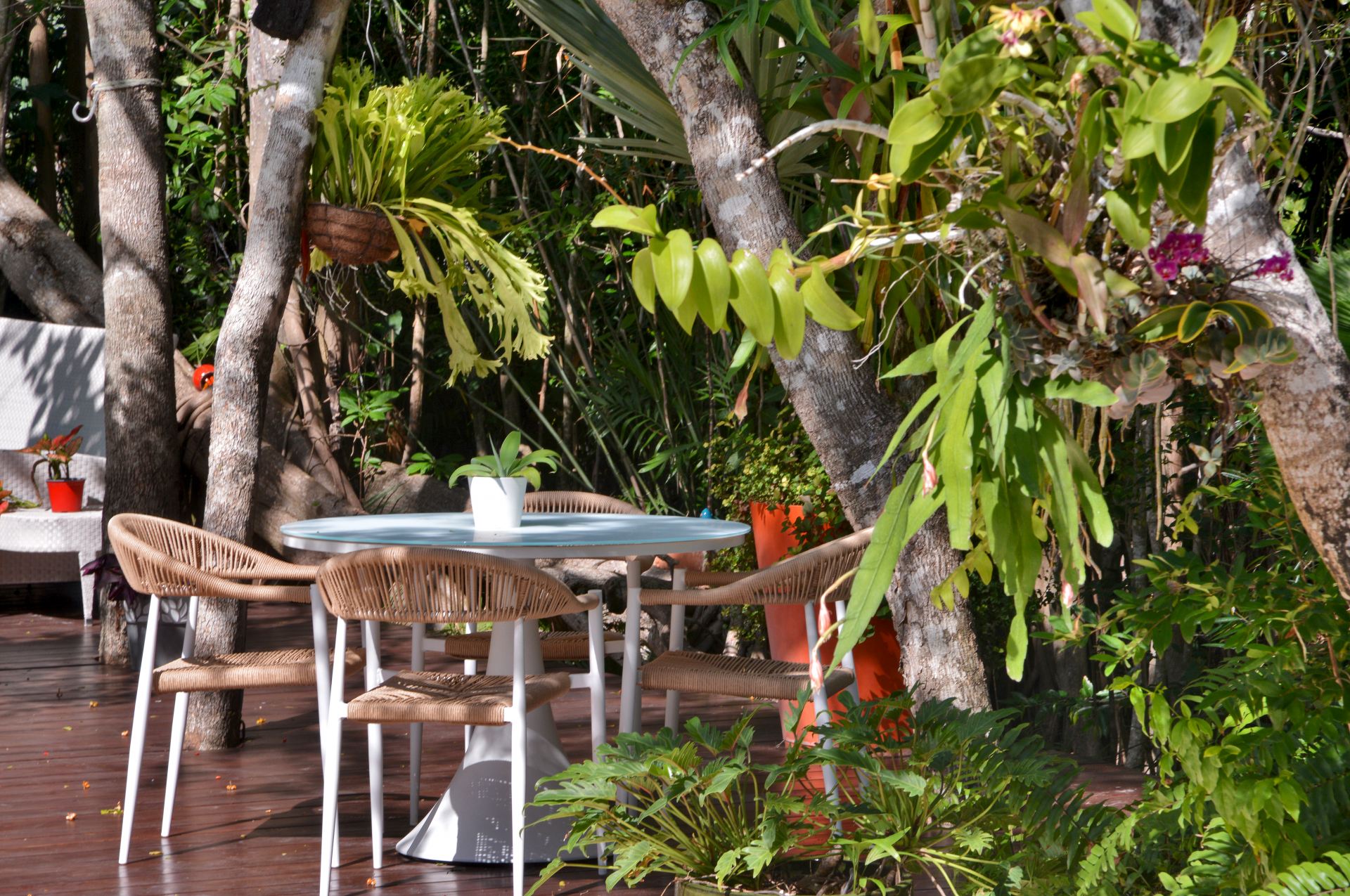 Villa Careta (Tortuga B55)