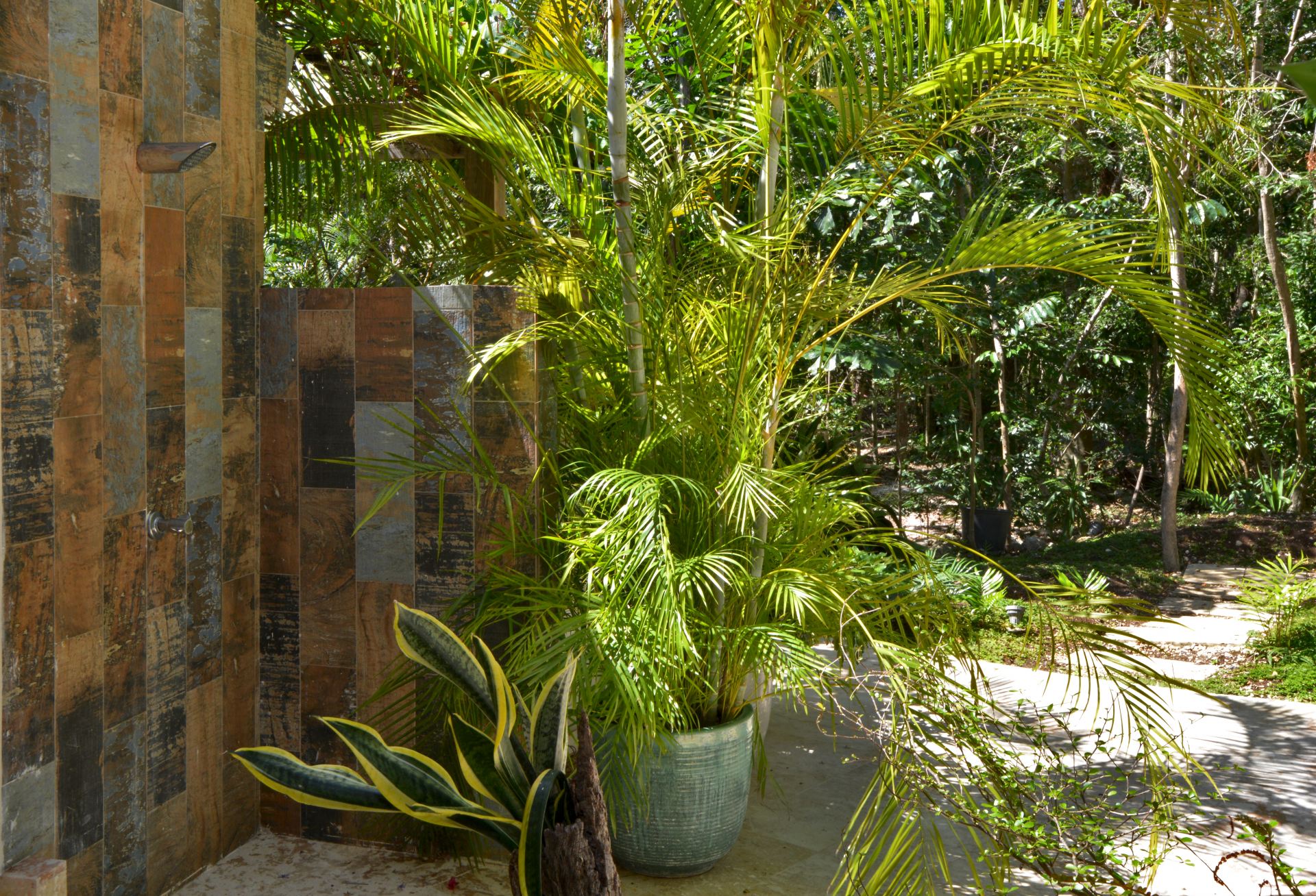 Villa Careta (Tortuga B55)