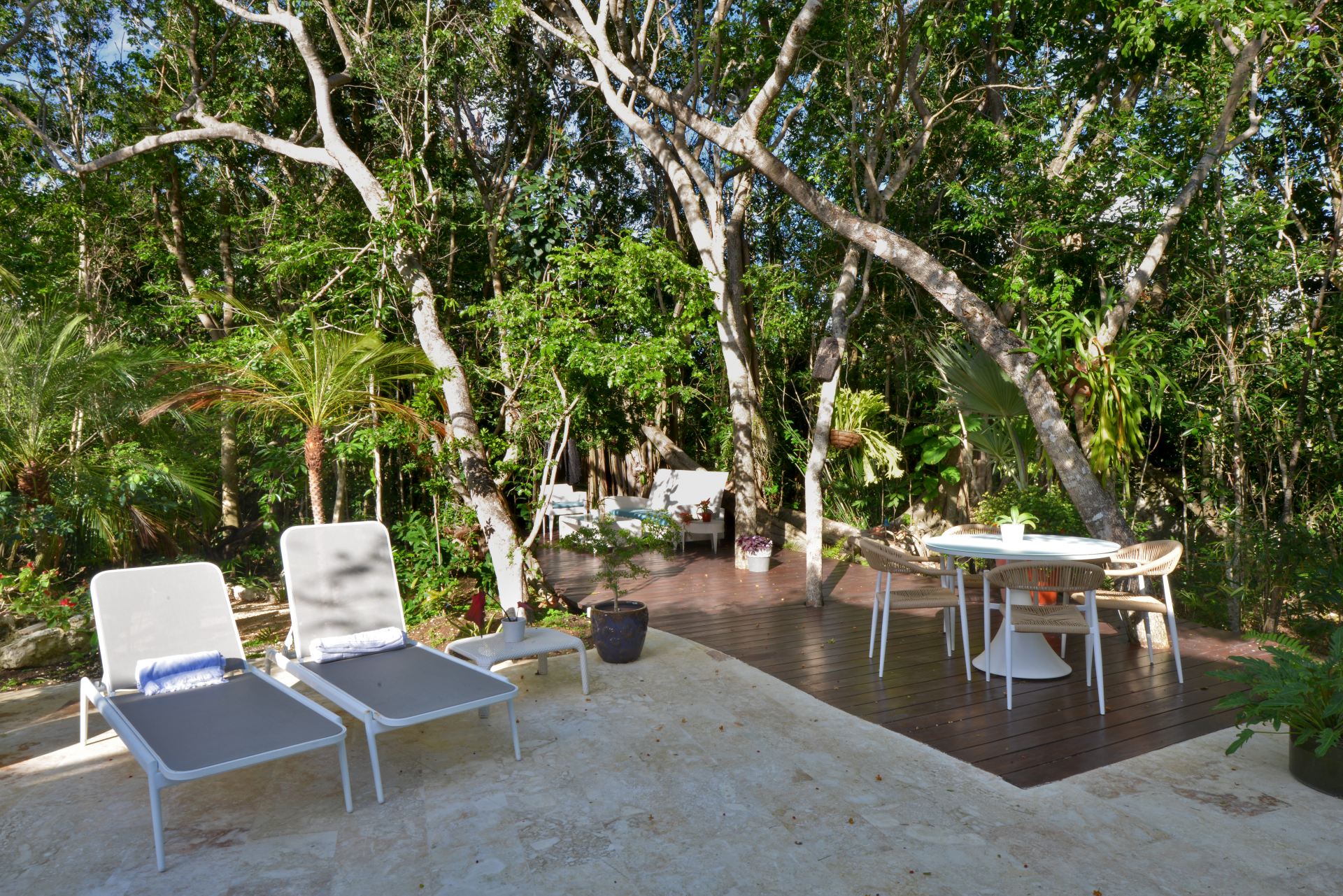 Villa Careta (Tortuga B55)