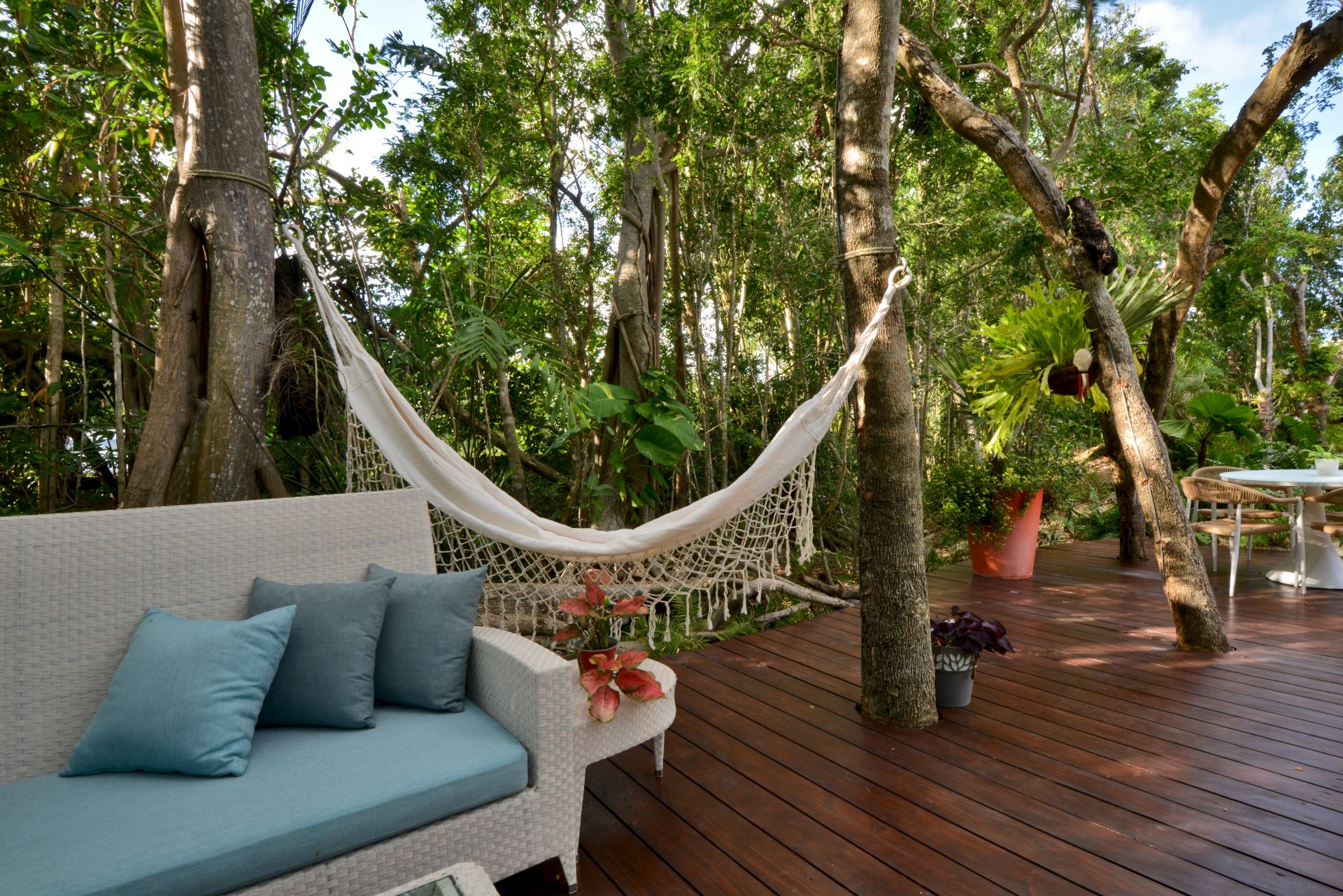 Villa Careta (Tortuga B55)