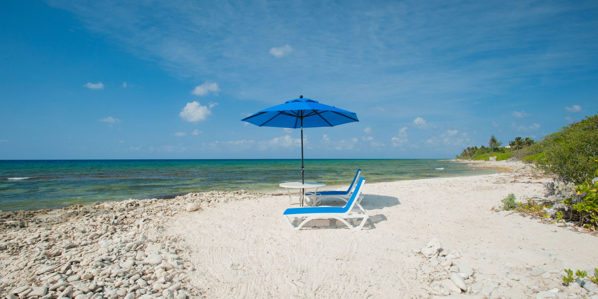 Villa Christmas Palms