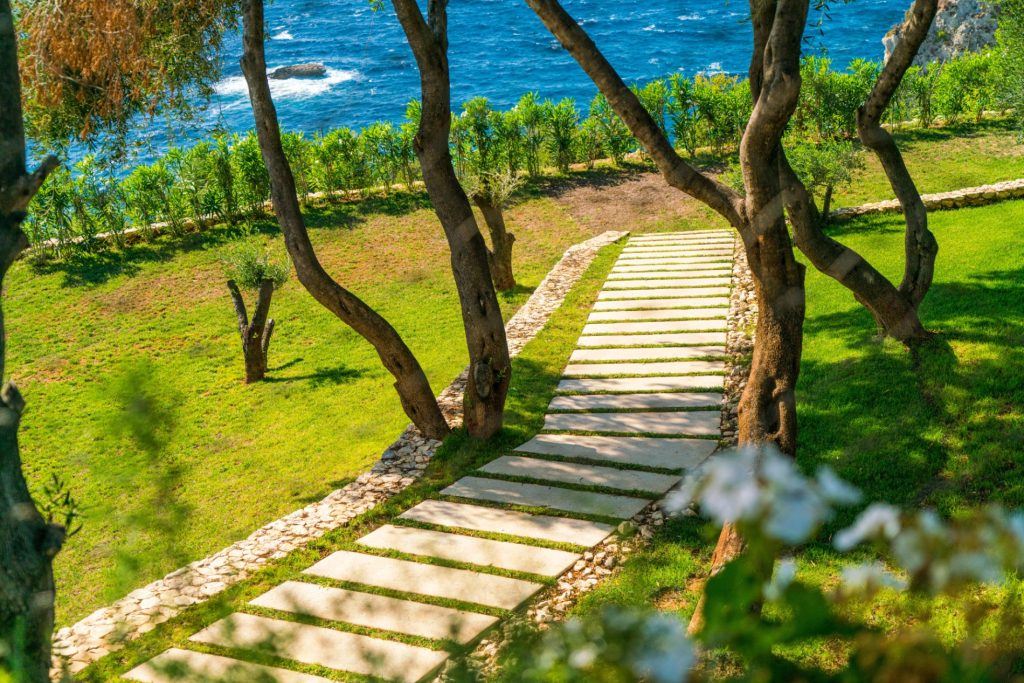 Villa Olives in the Sea