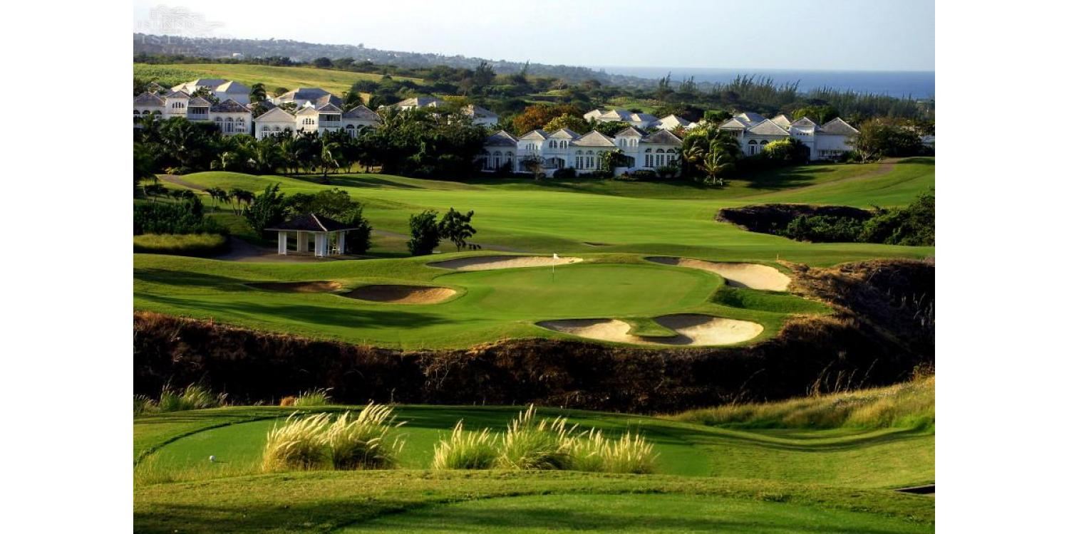 Palm Ridge 10, Benjoli Breeze