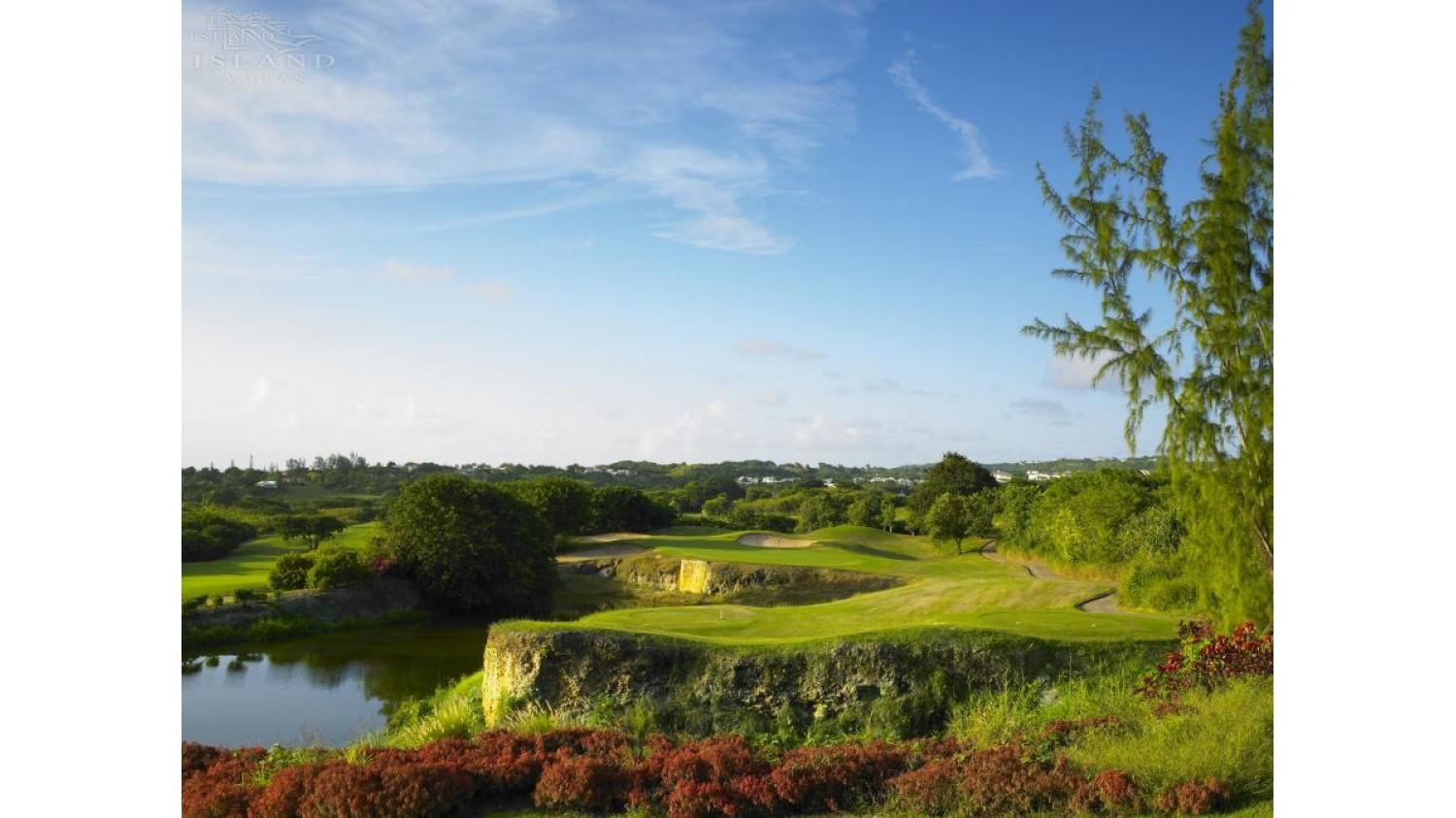 Palm Ridge 10, Benjoli Breeze