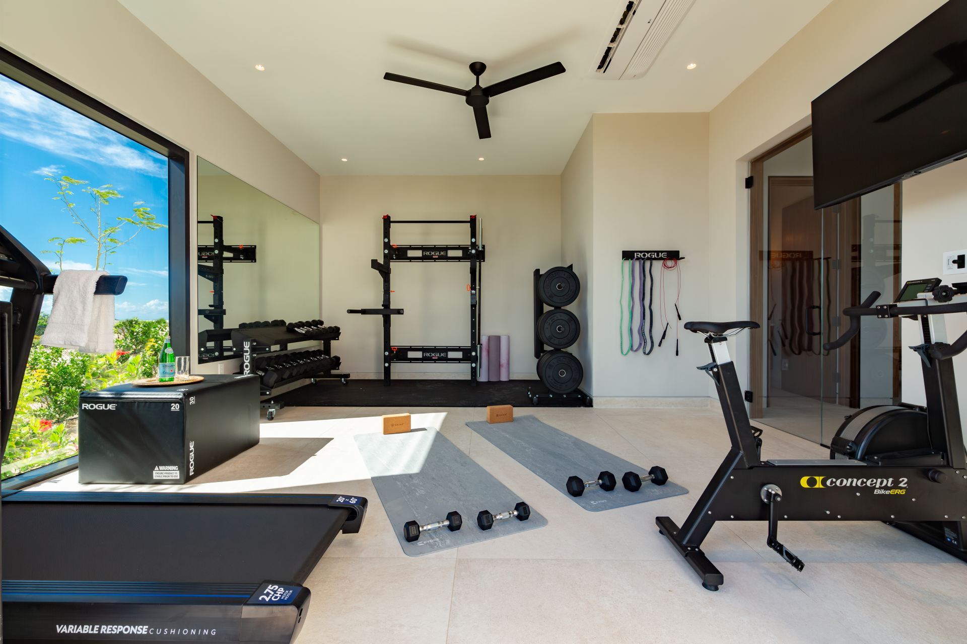 Solara - Turtle Tail