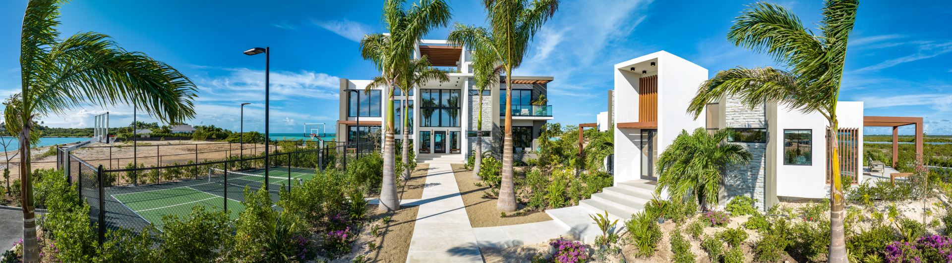 Solara - Turtle Tail