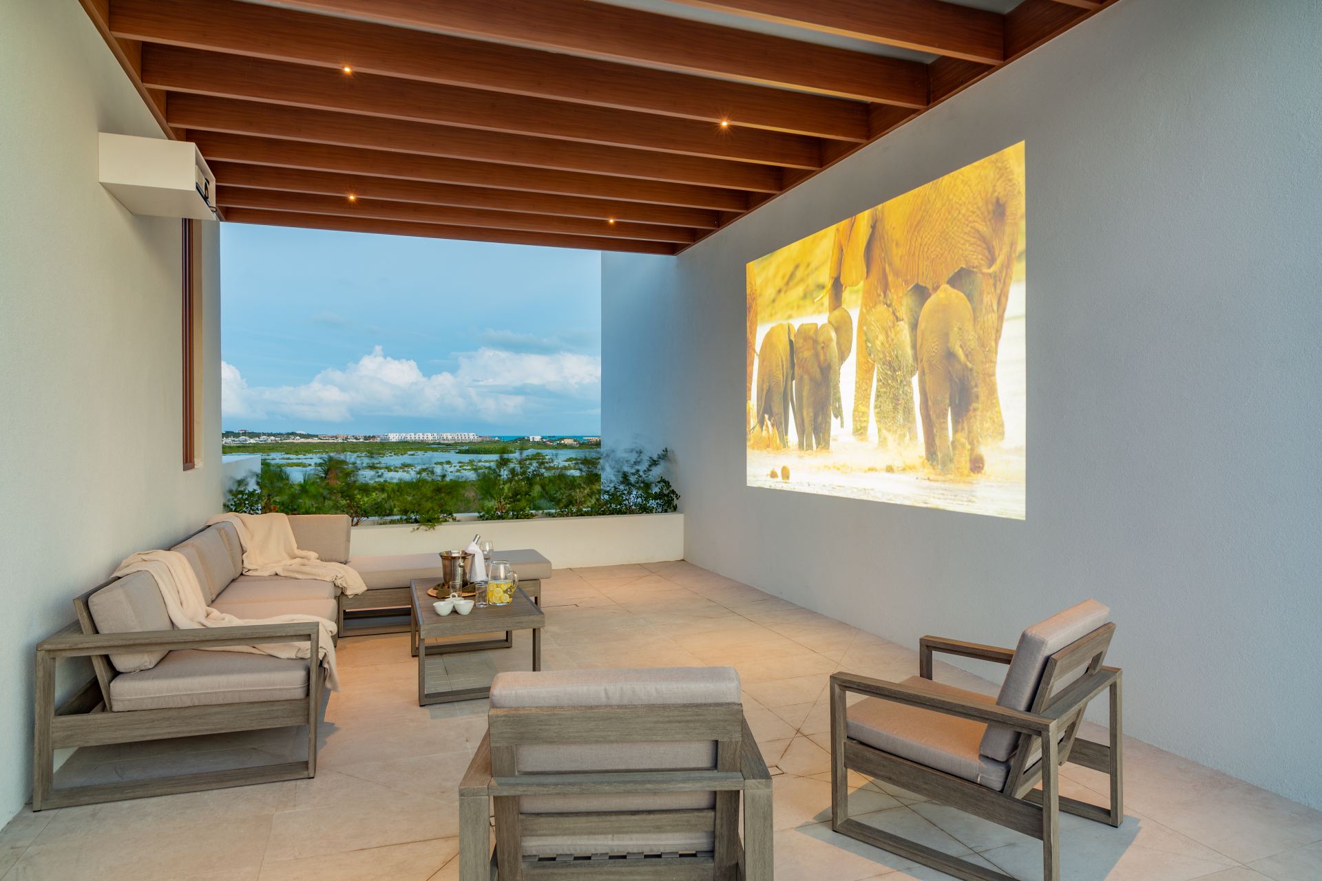 Solara - Turtle Tail