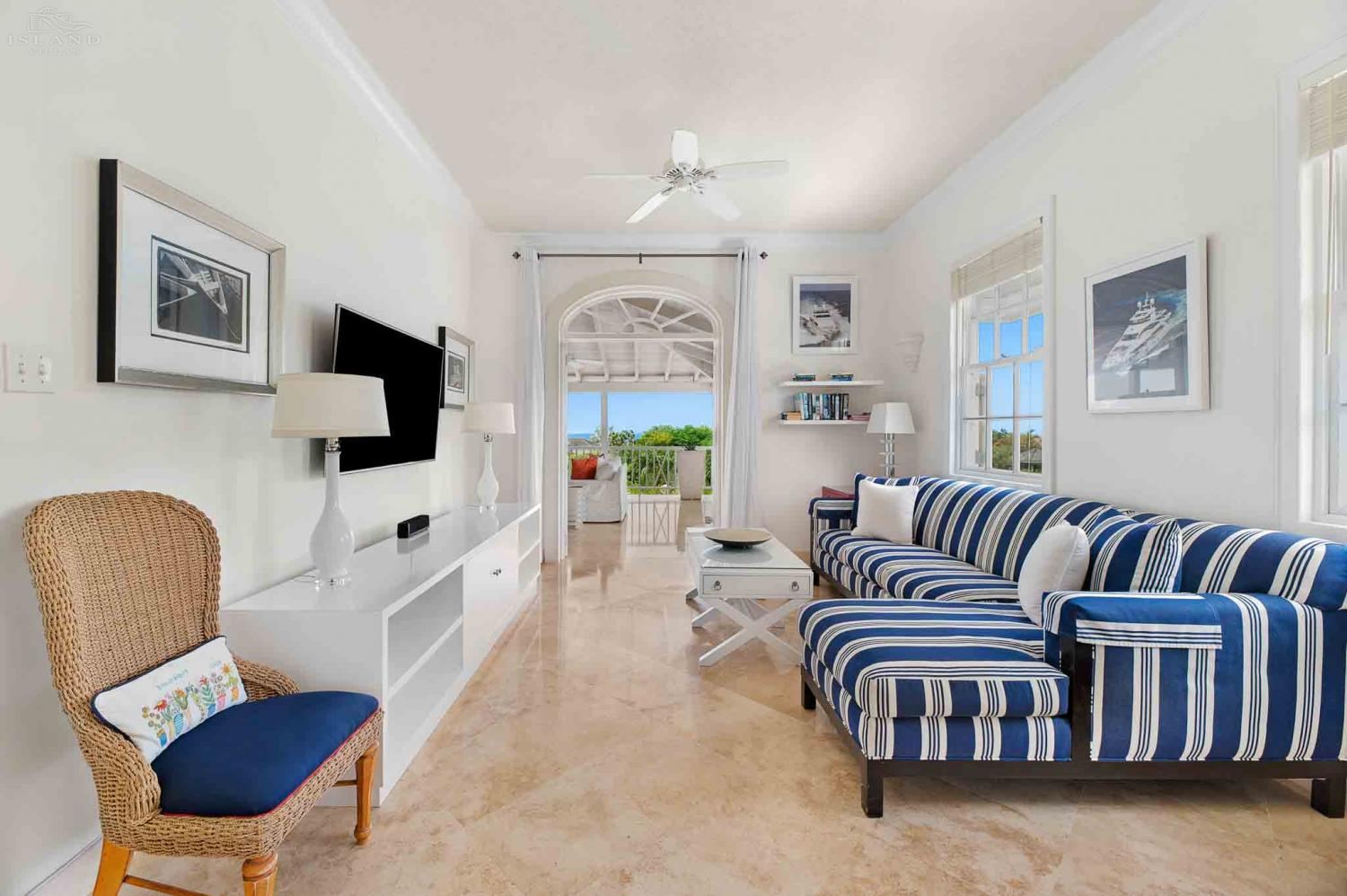 Bananaquit, Sugar Hill