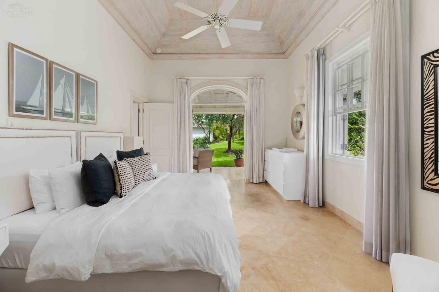 Bananaquit, Sugar Hill