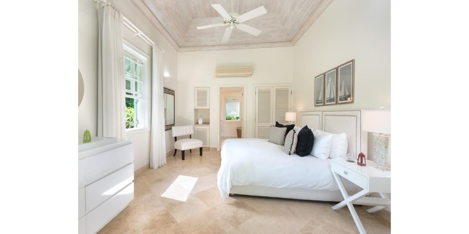 Bananaquit, Sugar Hill