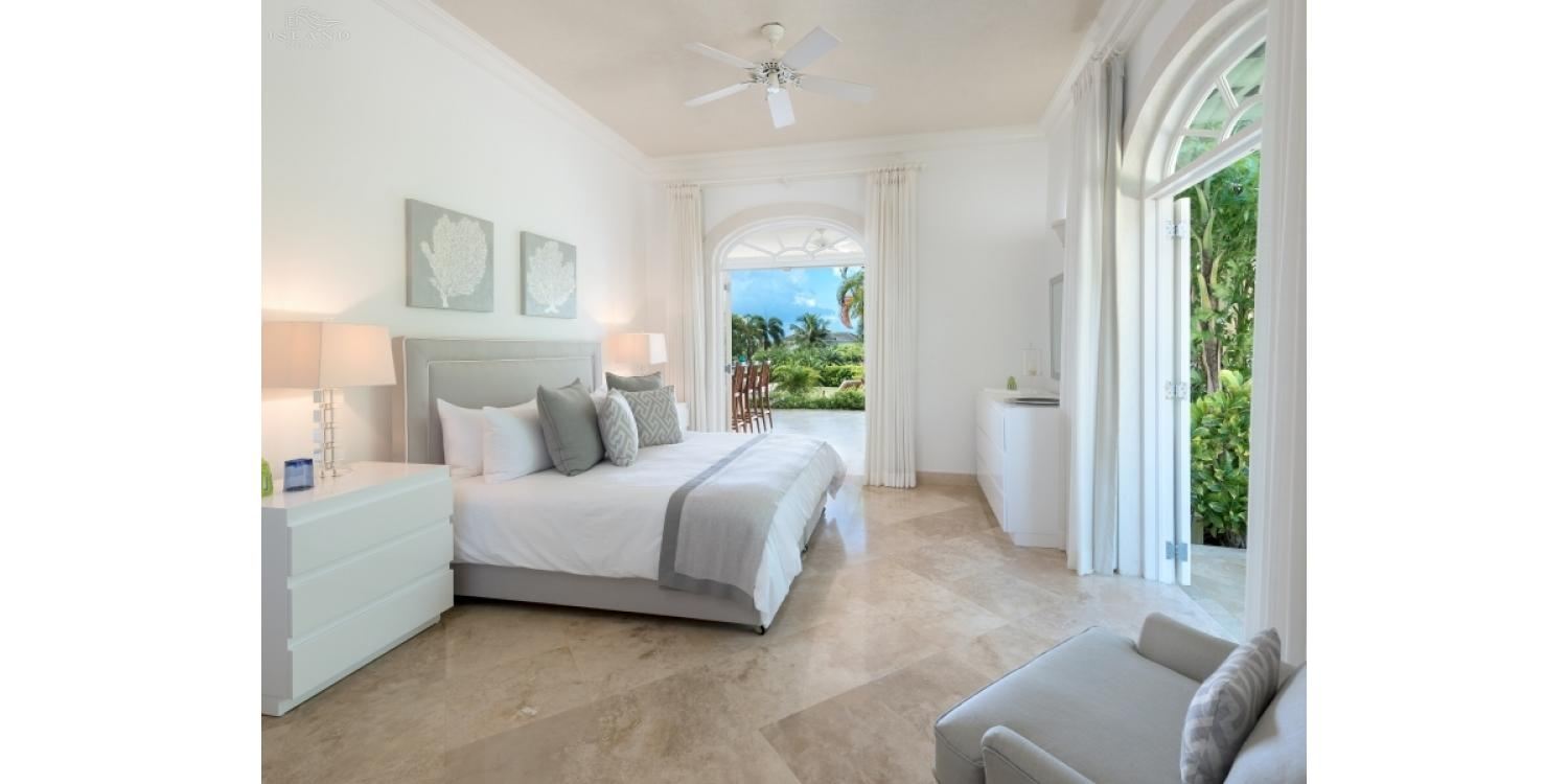 Bananaquit, Sugar Hill