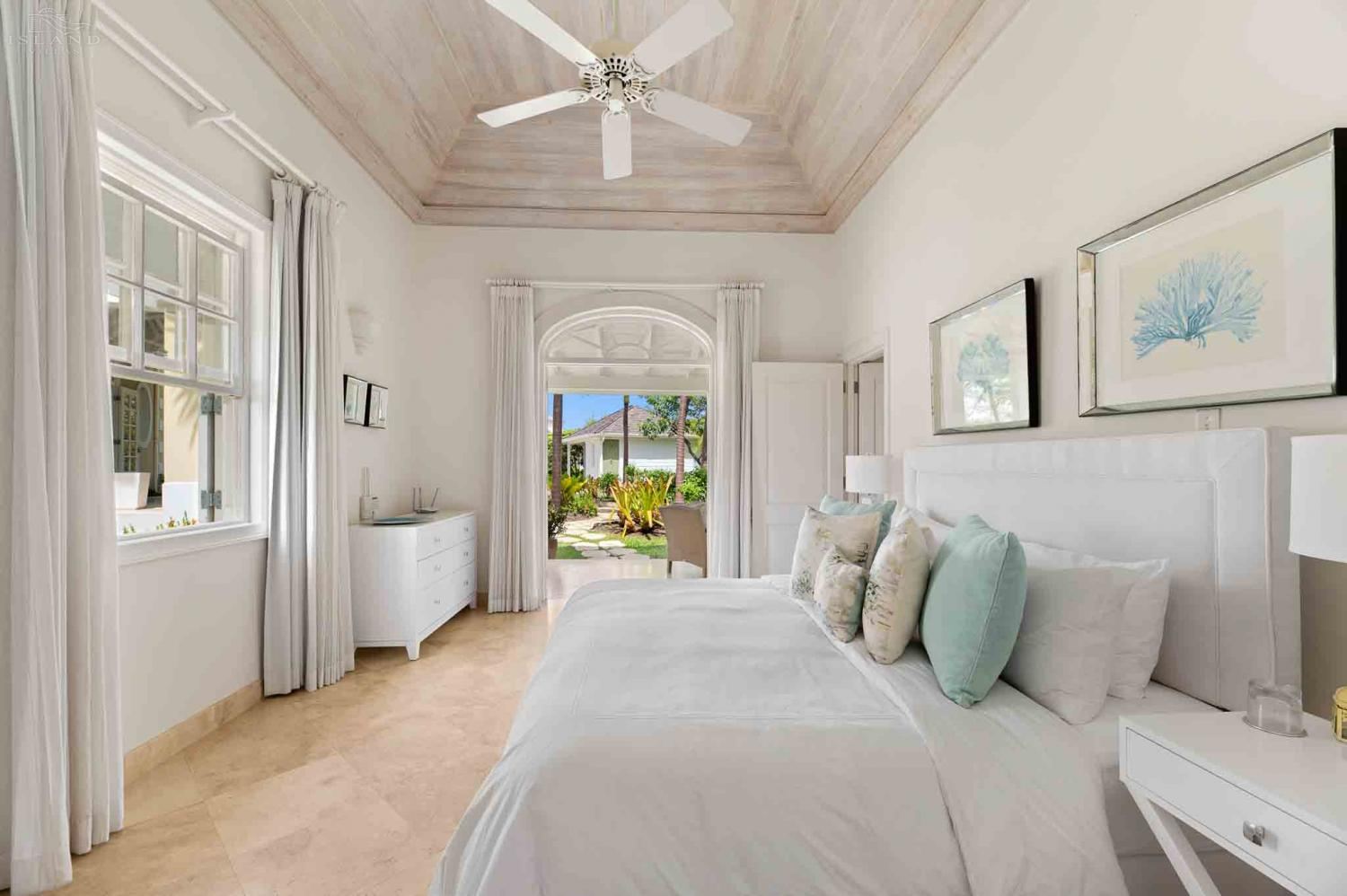 Bananaquit, Sugar Hill