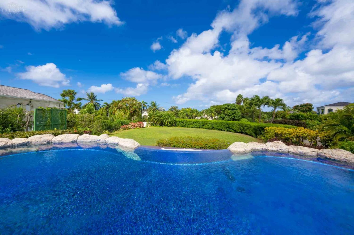 Bananaquit, Sugar Hill