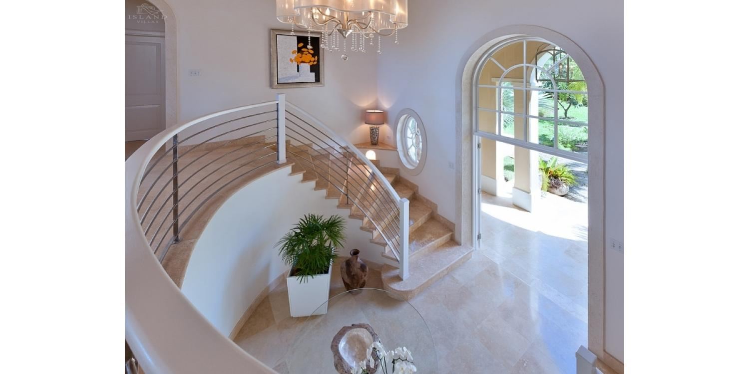 Bananaquit, Sugar Hill