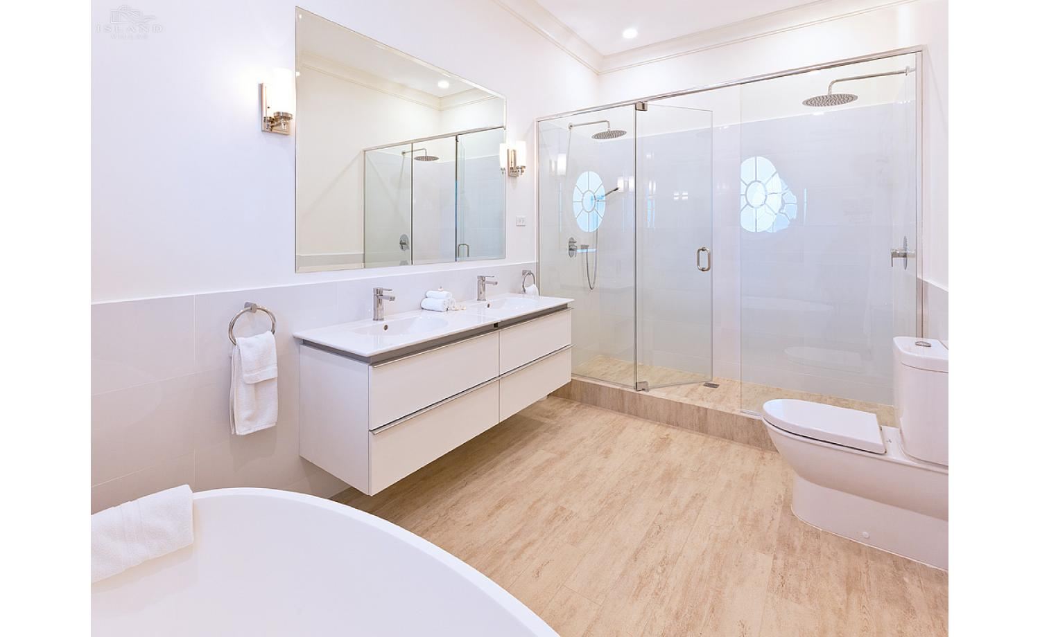 Bananaquit, Sugar Hill