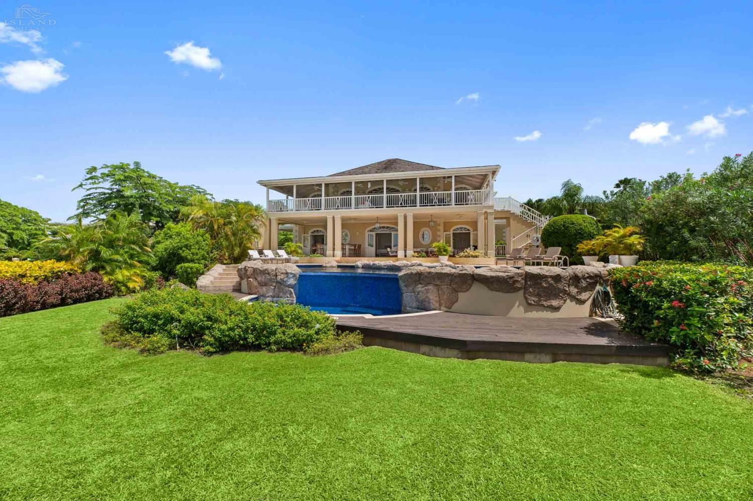 Bananaquit, Sugar Hill