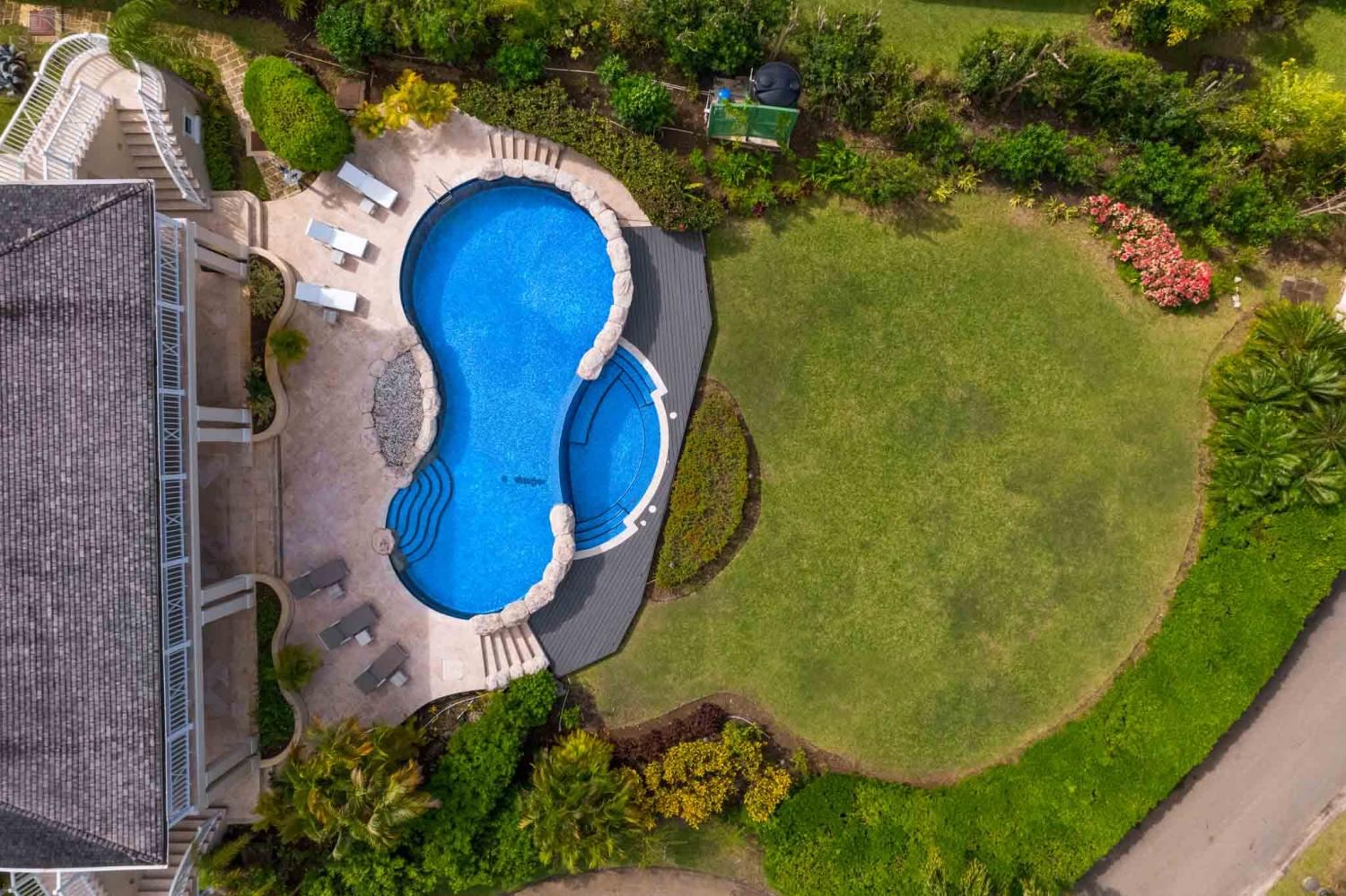 Bananaquit, Sugar Hill