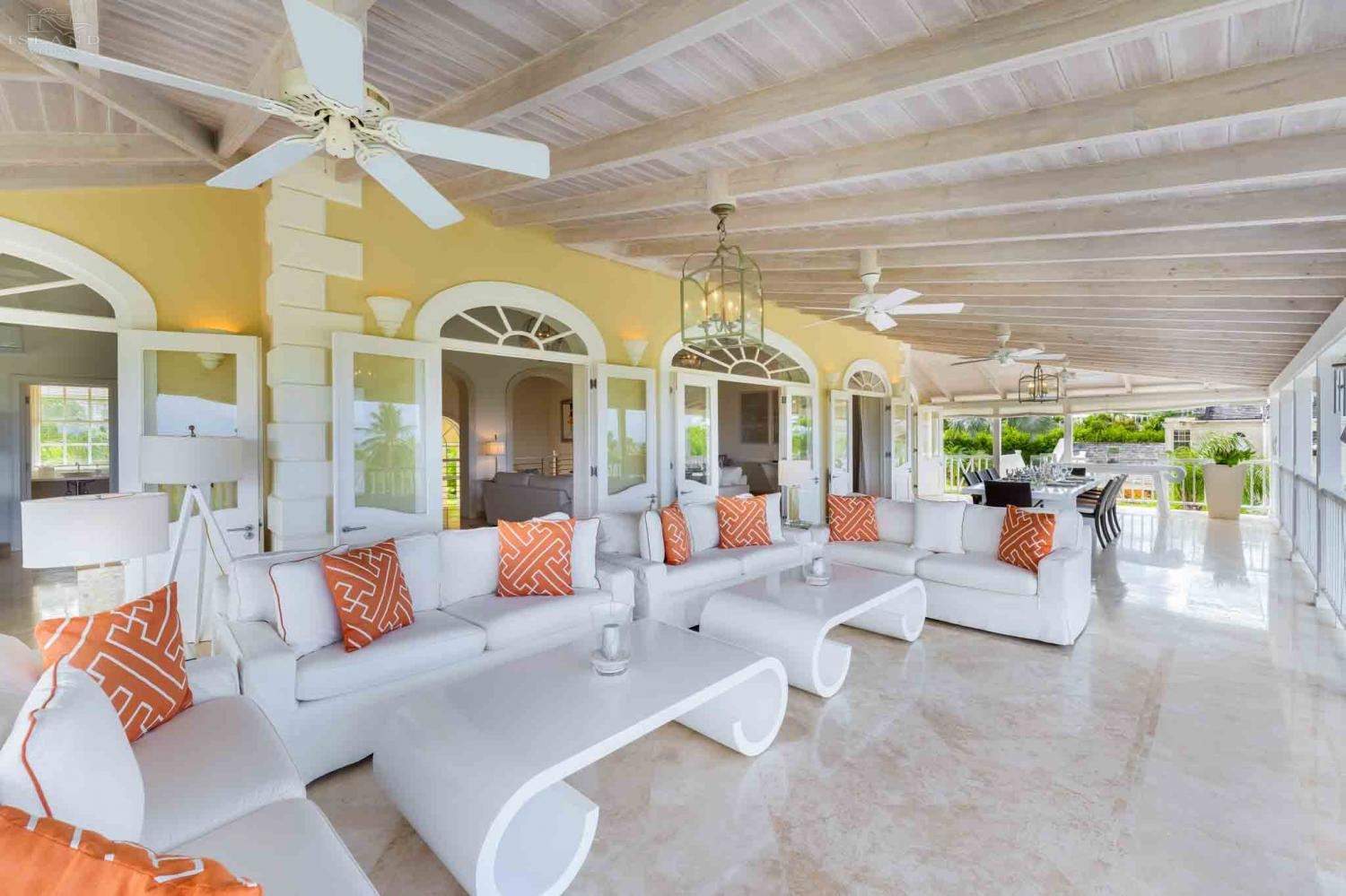 Bananaquit, Sugar Hill