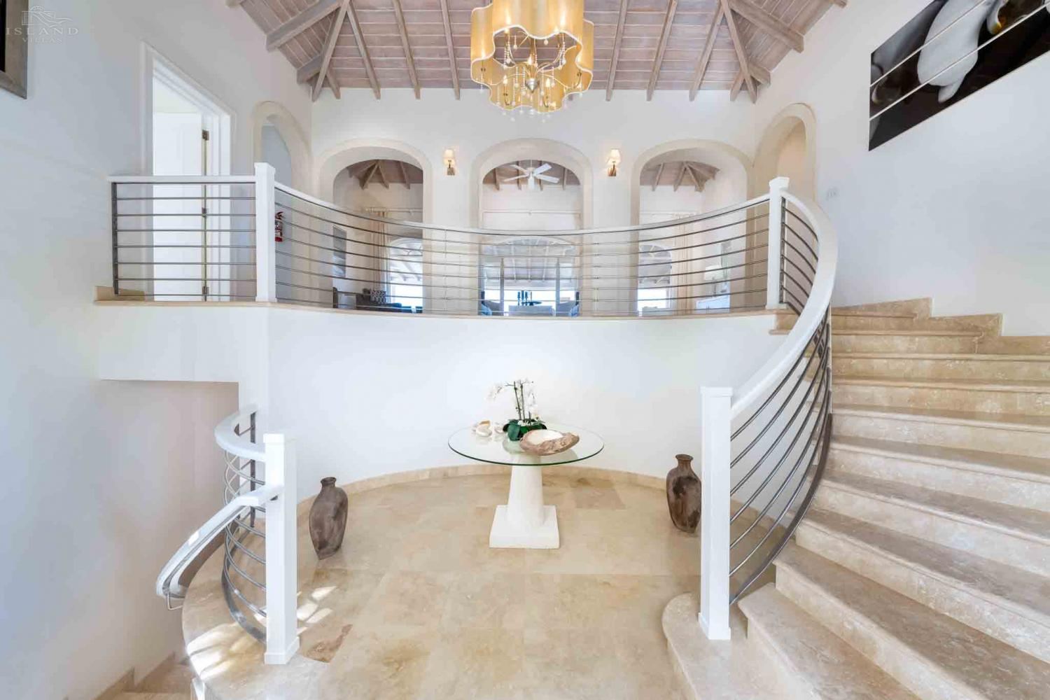 Bananaquit, Sugar Hill