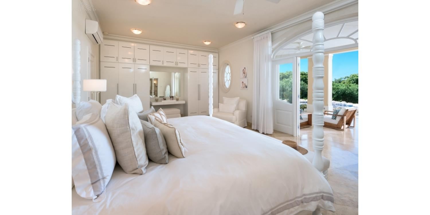 Bananaquit, Sugar Hill