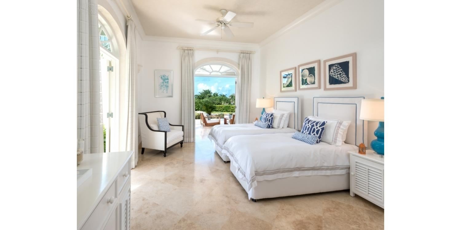 Bananaquit, Sugar Hill