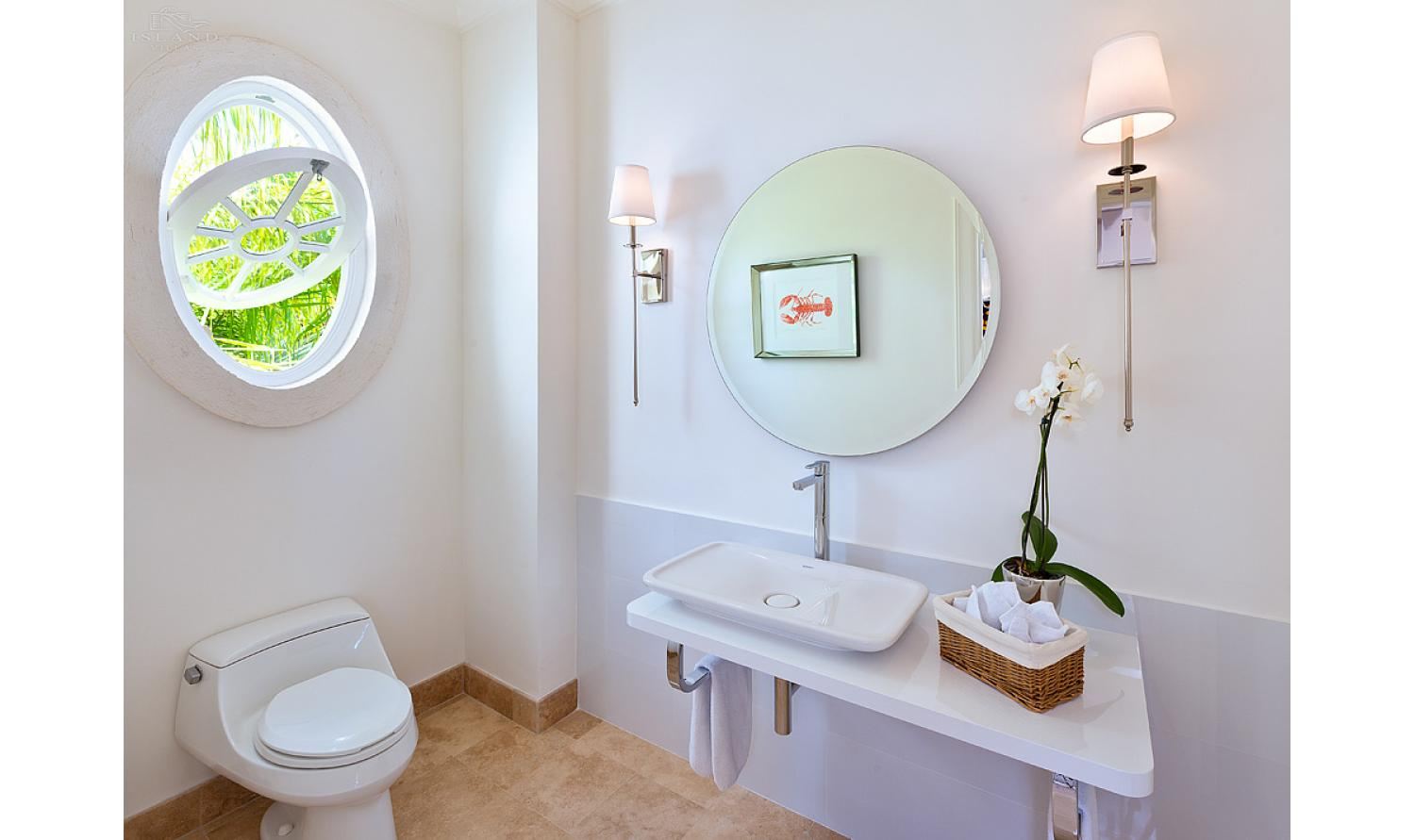 Bananaquit, Sugar Hill