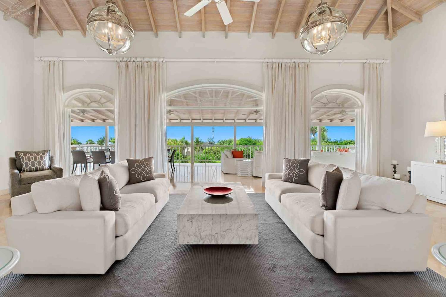 Bananaquit, Sugar Hill