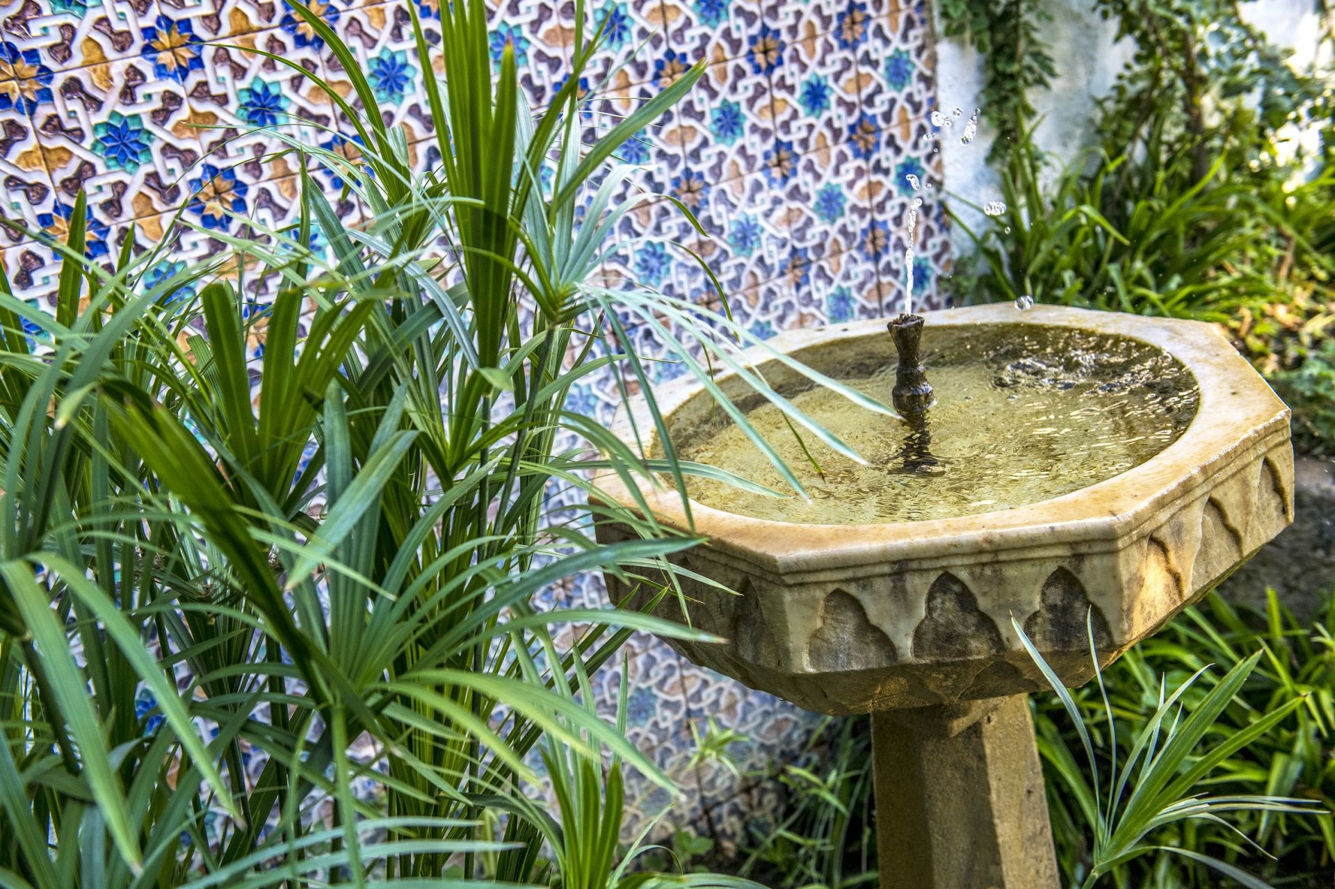 La Torre della Limonaia