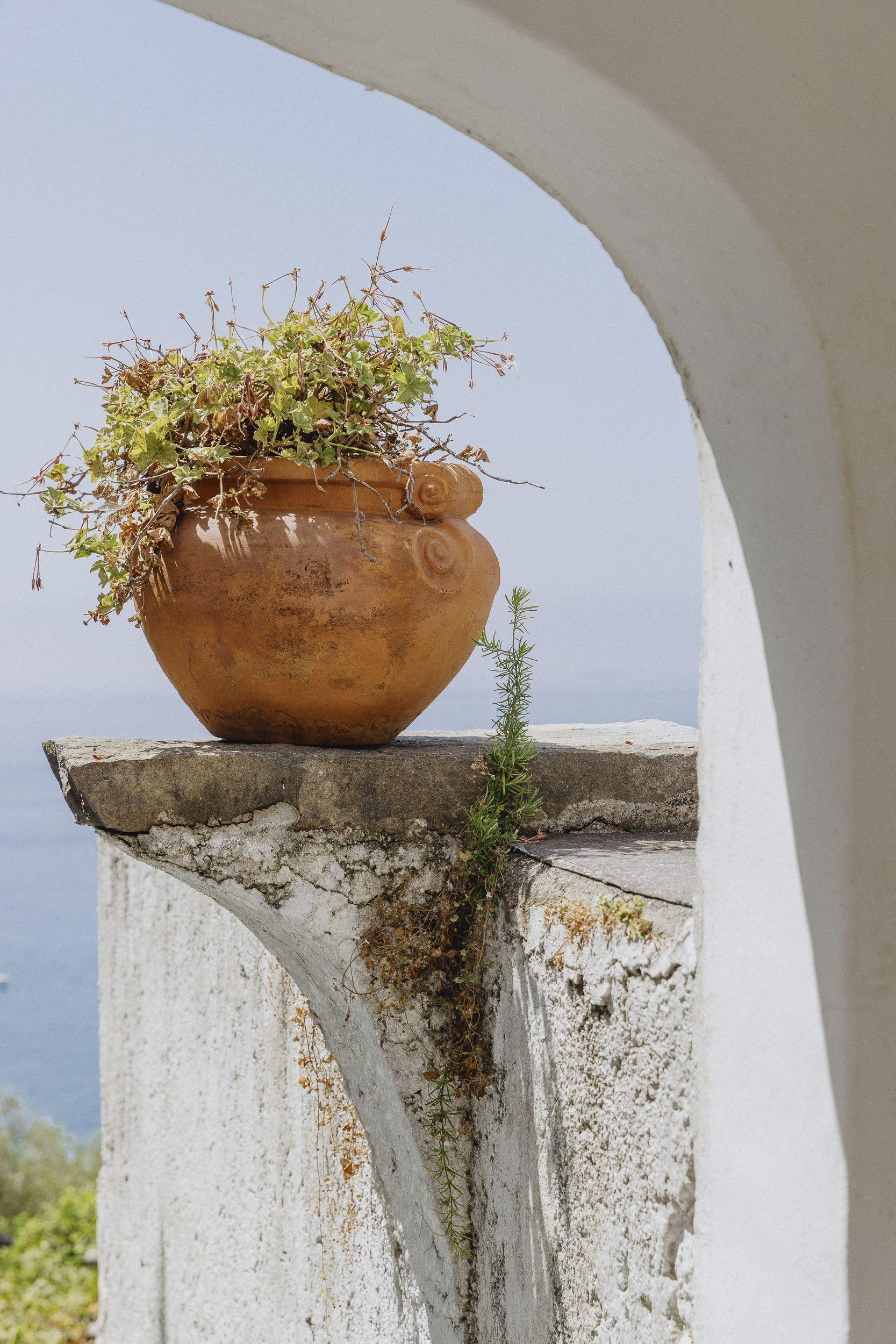 La Torre della Limonaia