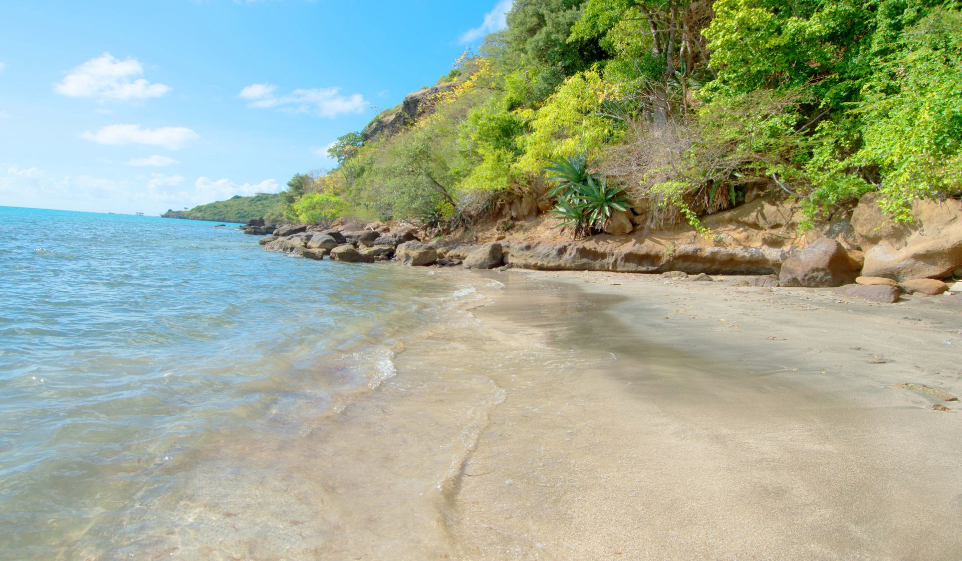 Mount Hartman Bay Estate